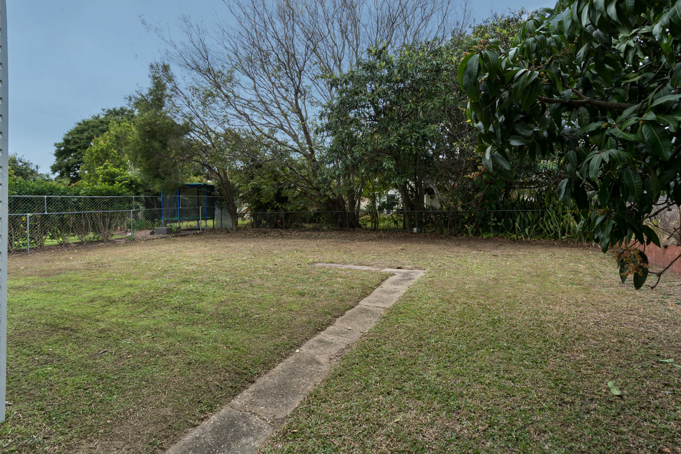 grass