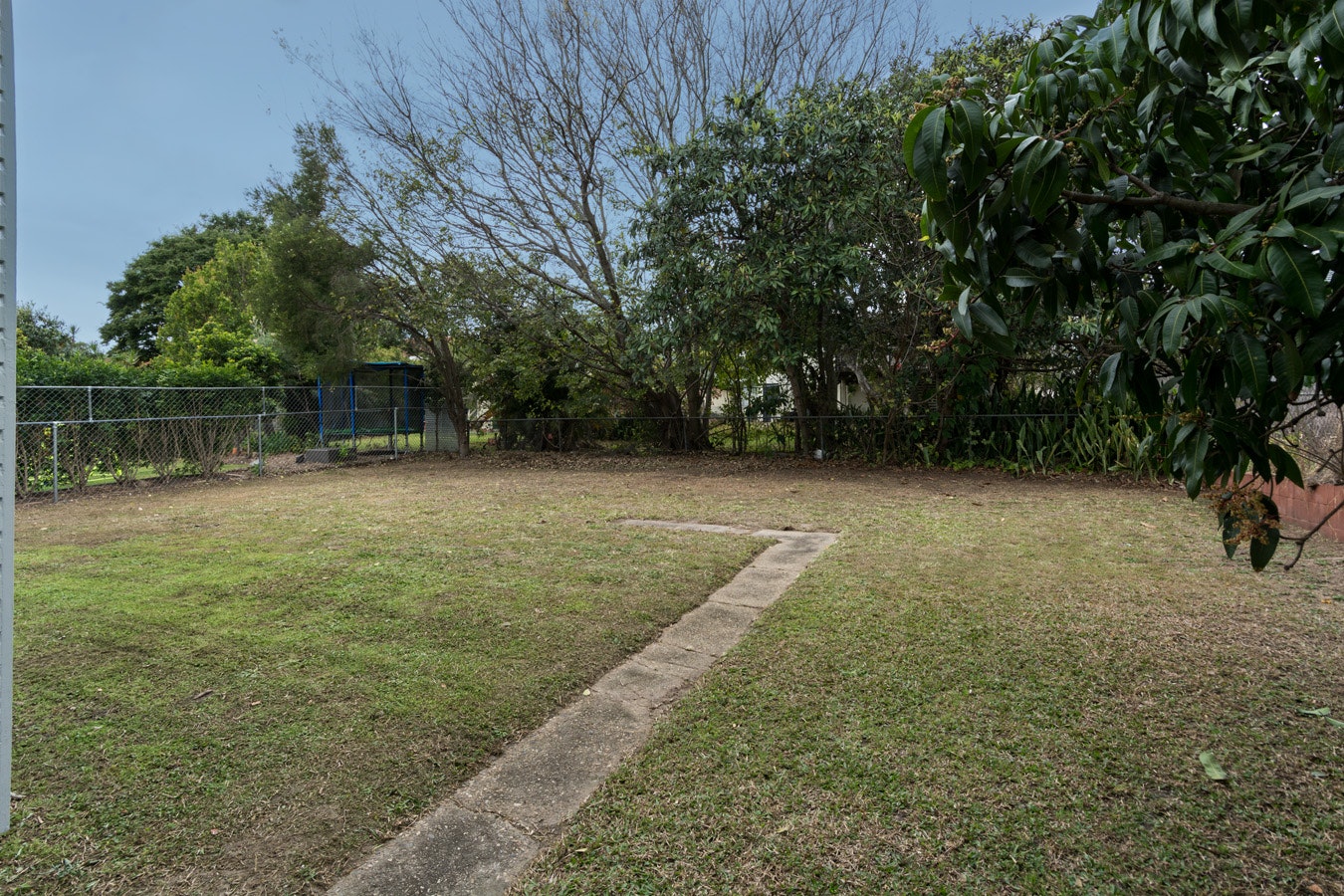 grass