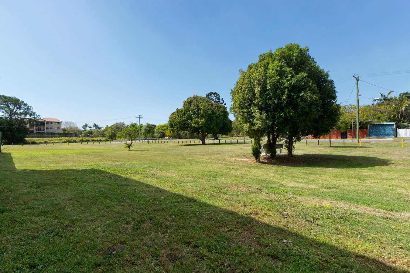 grass