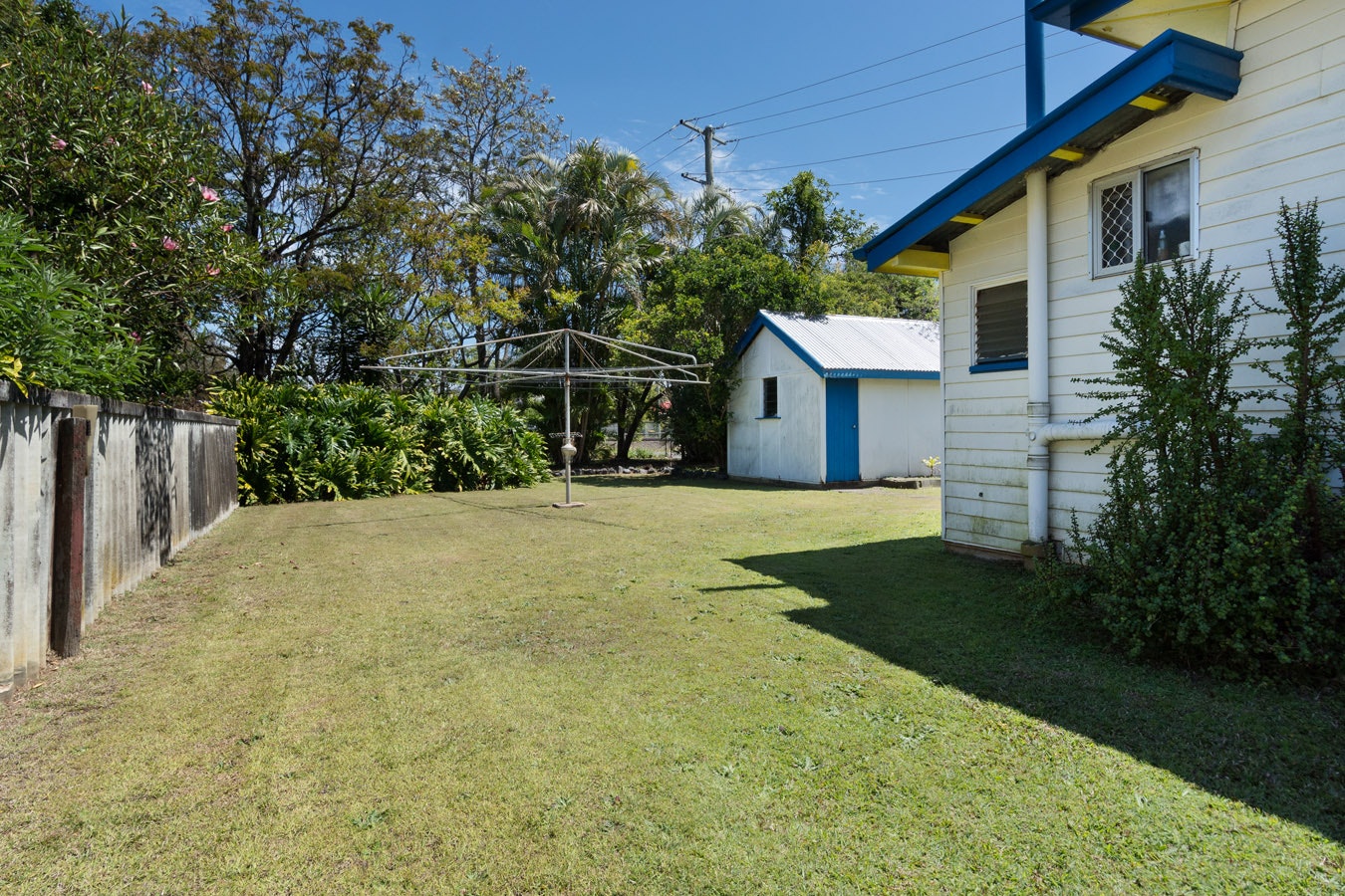 Image of backyard