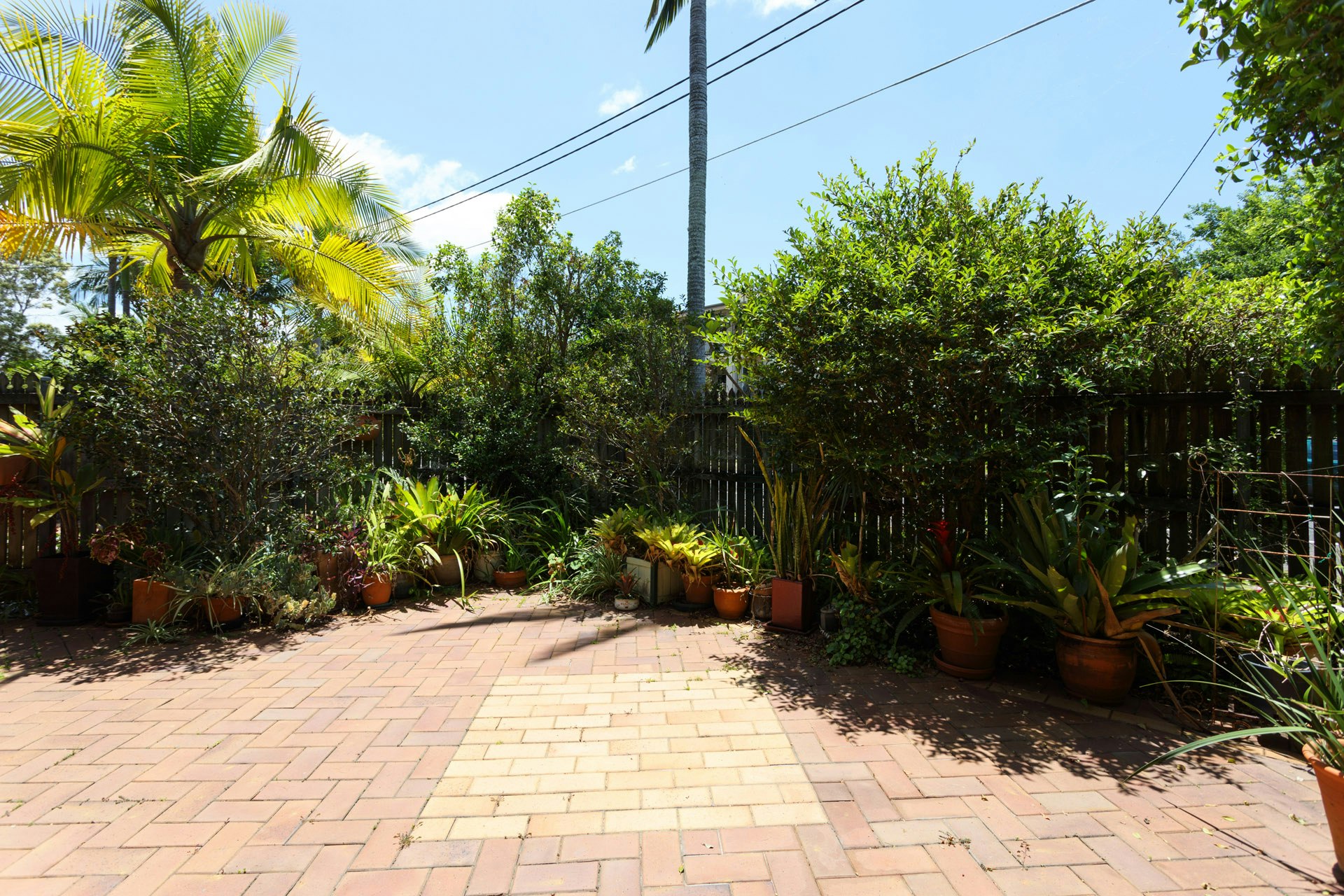 Image of path