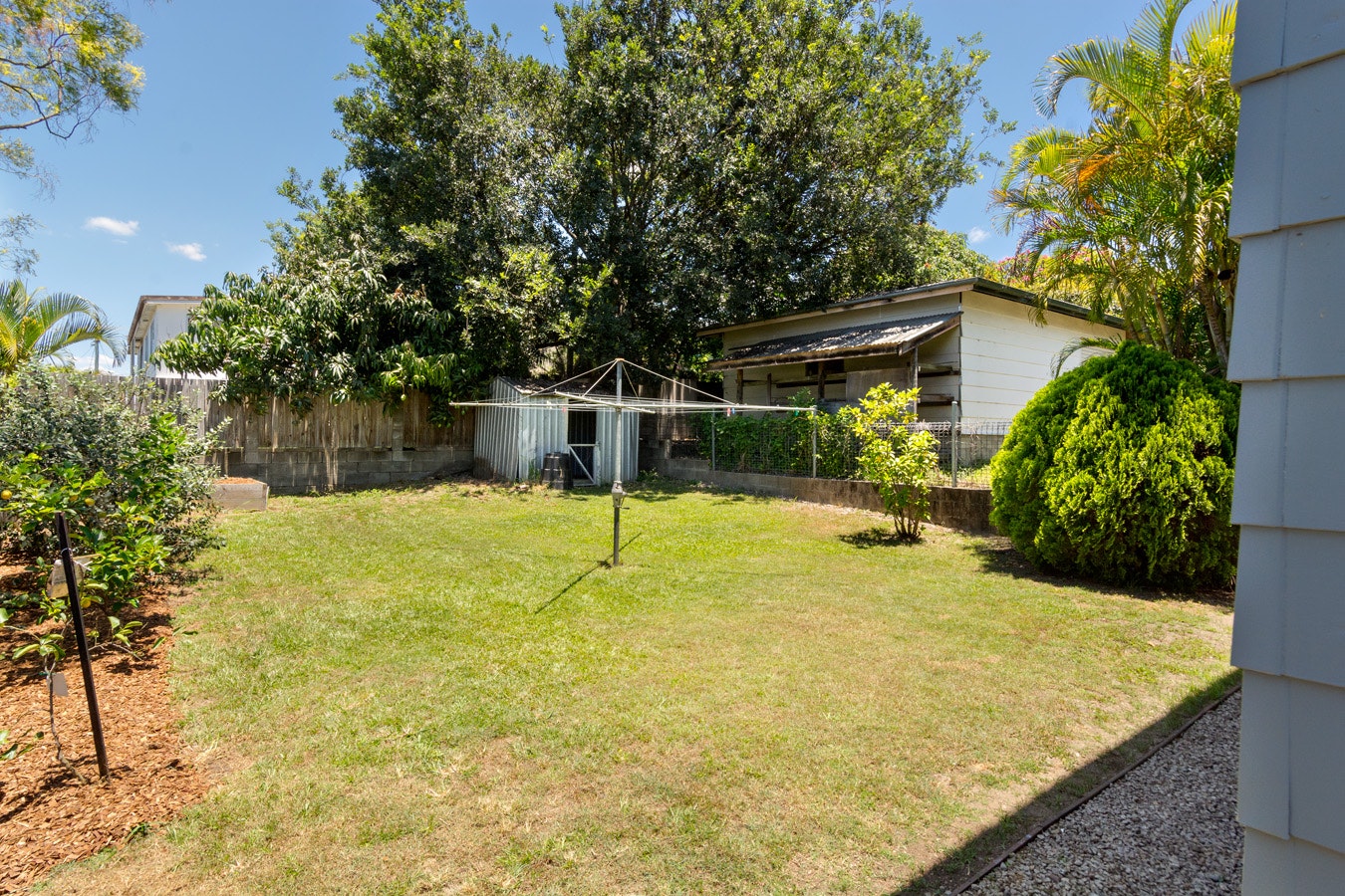 Image of backyard