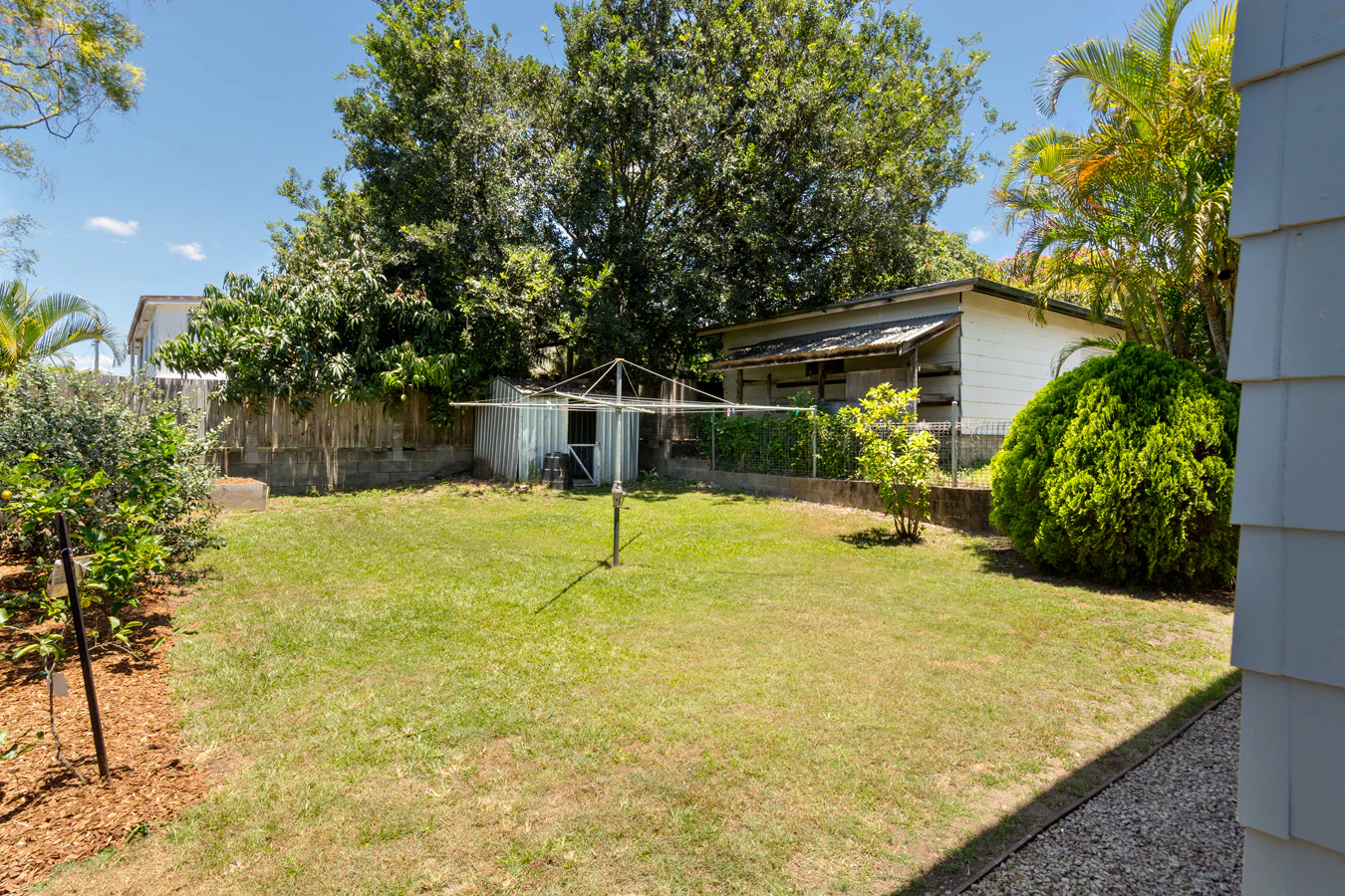 backyard