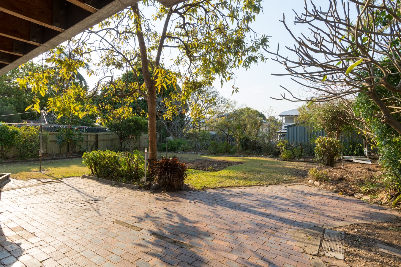 Image of path