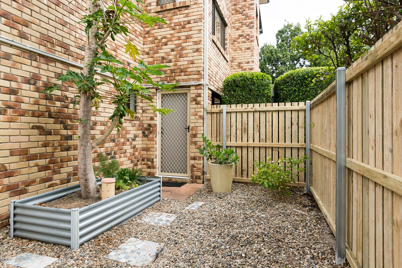 Image of backyard