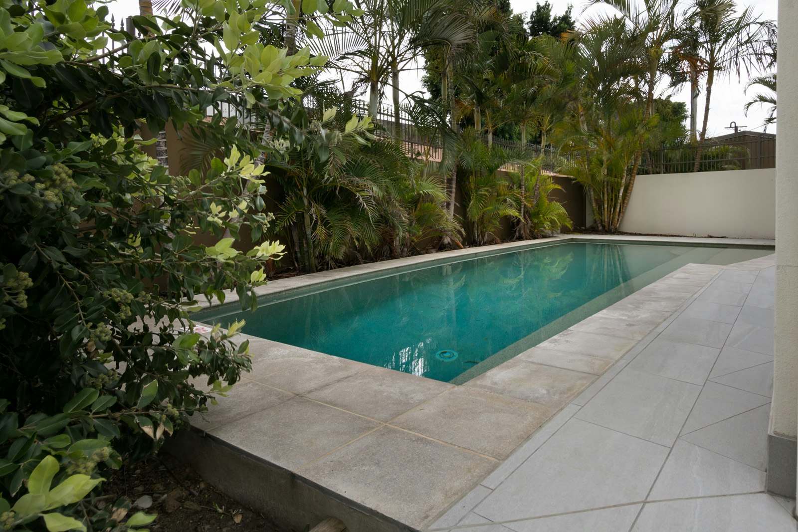 Image of backyard