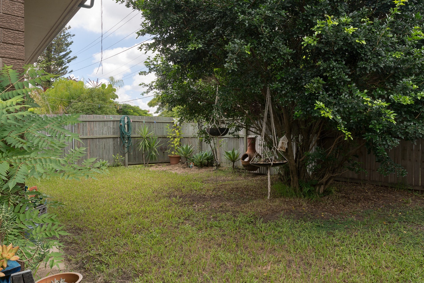 Image of backyard
