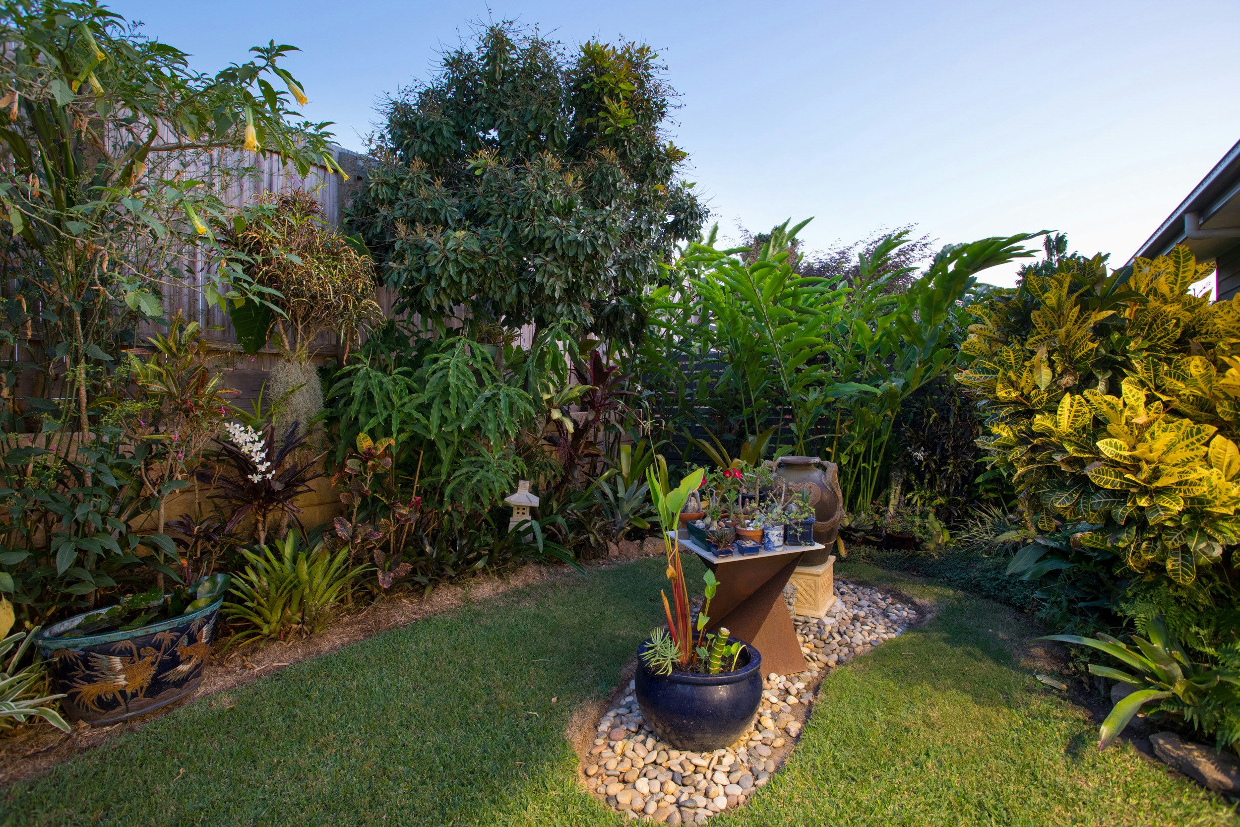 Image of backyard