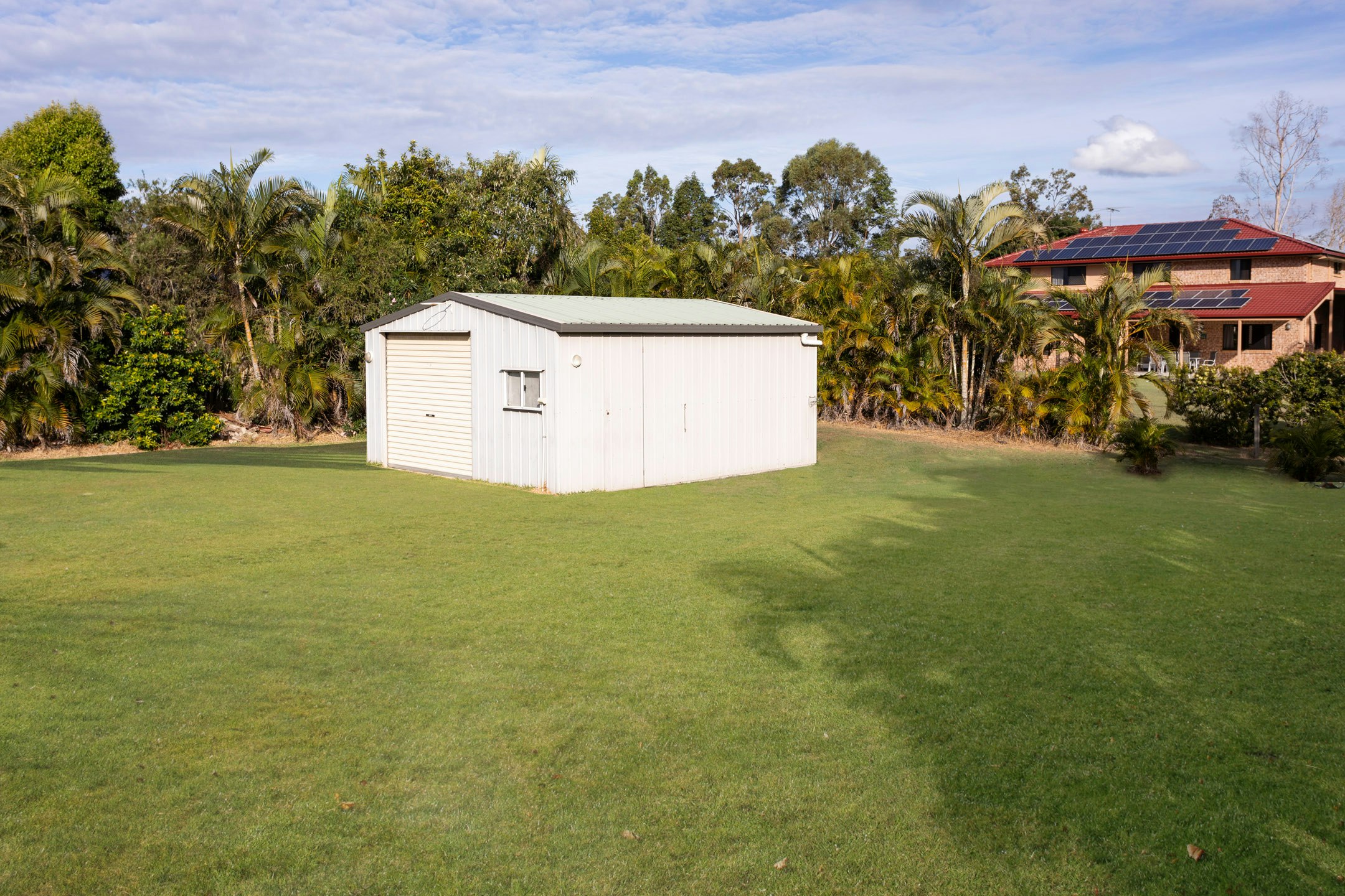 Image of grass