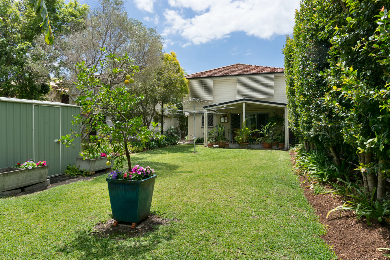 backyard