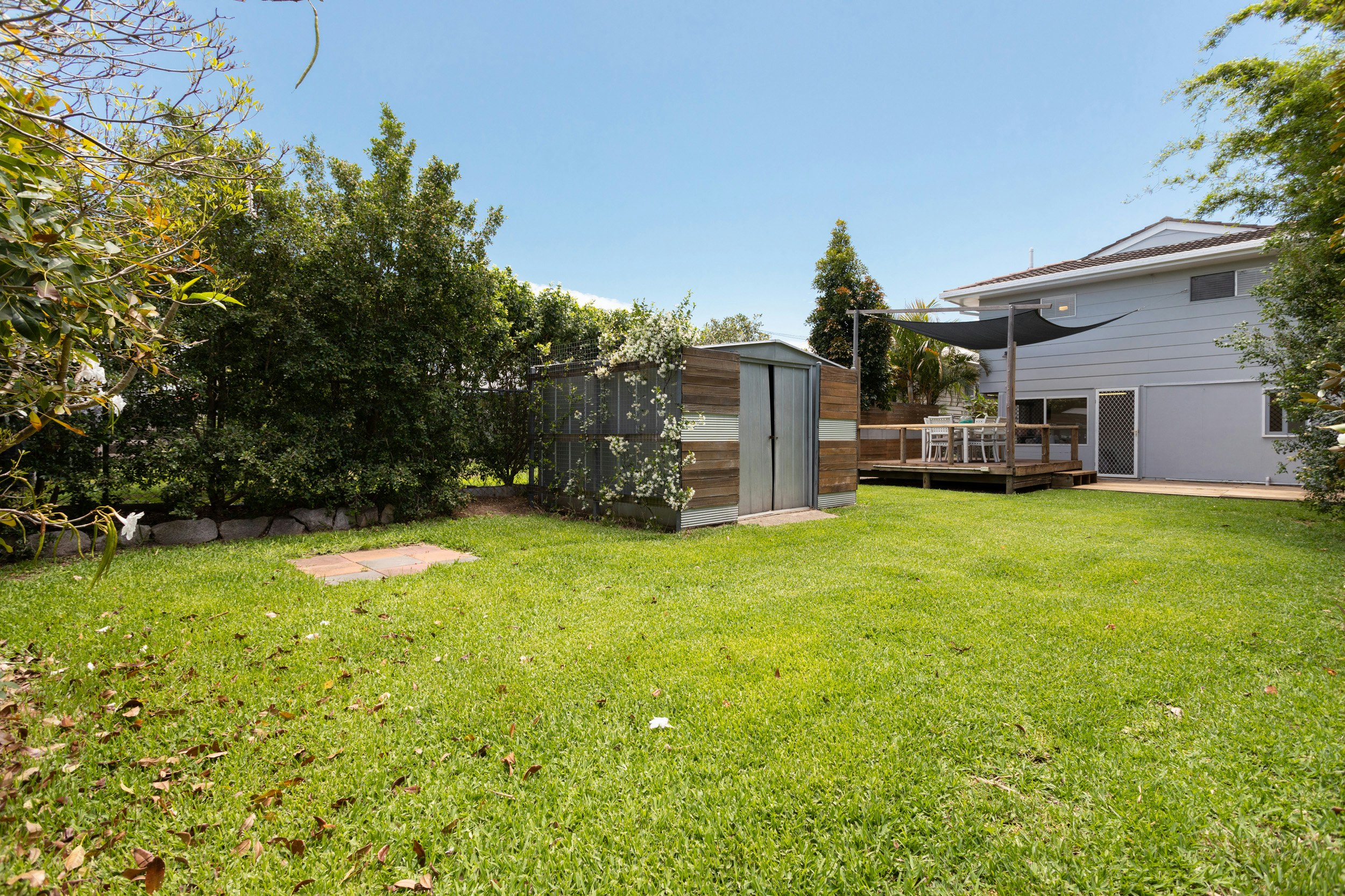 Image of backyard