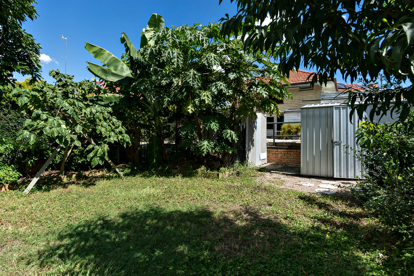 garden