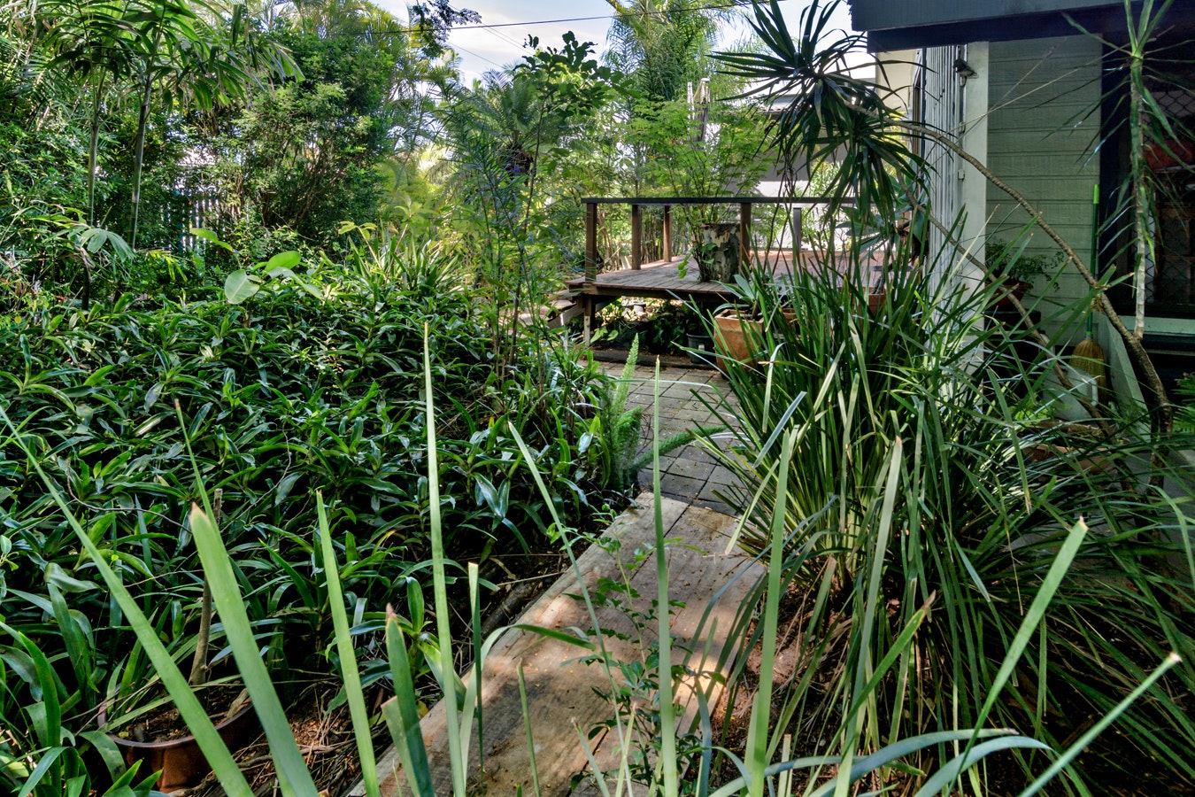 Image of garden