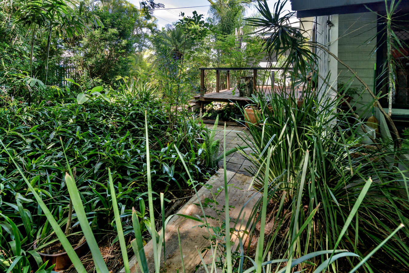 garden