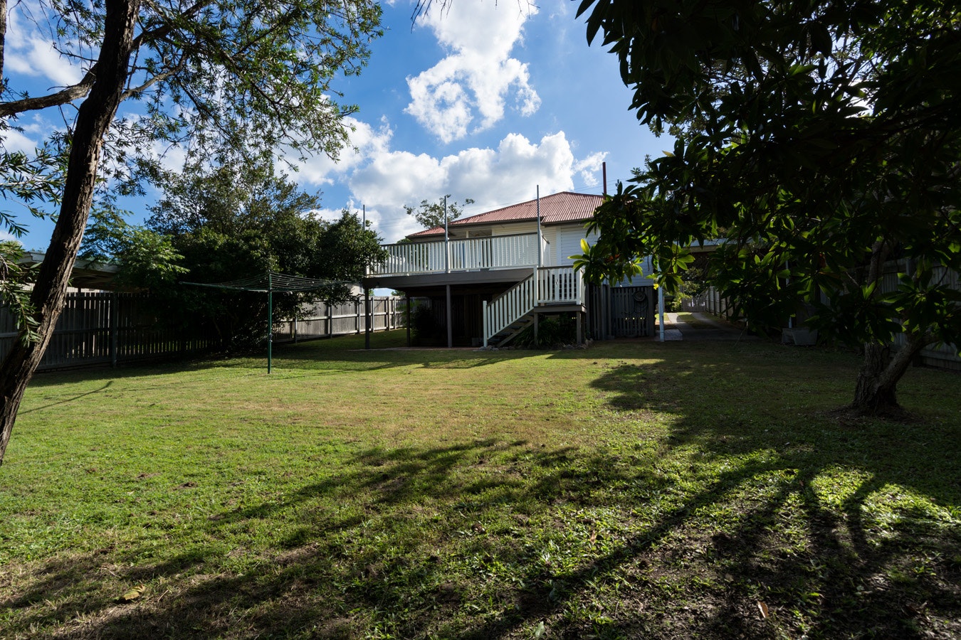 Image of grass