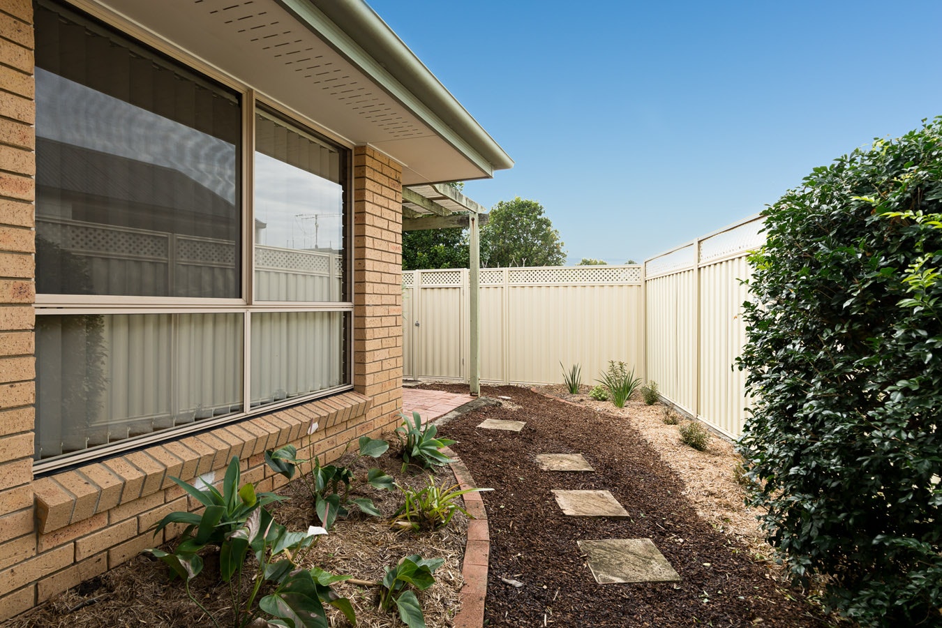 Image of backyard
