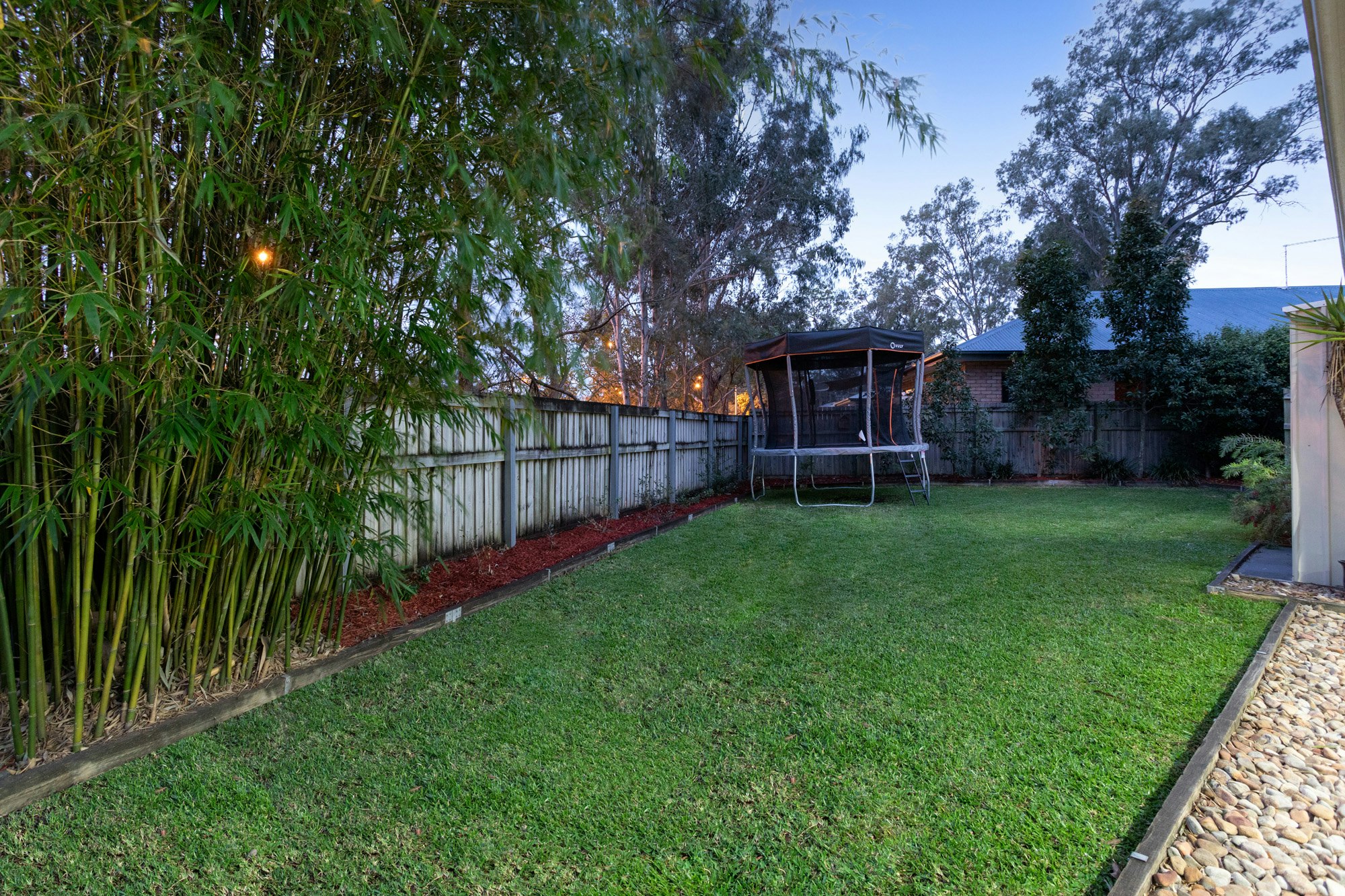 Image of backyard