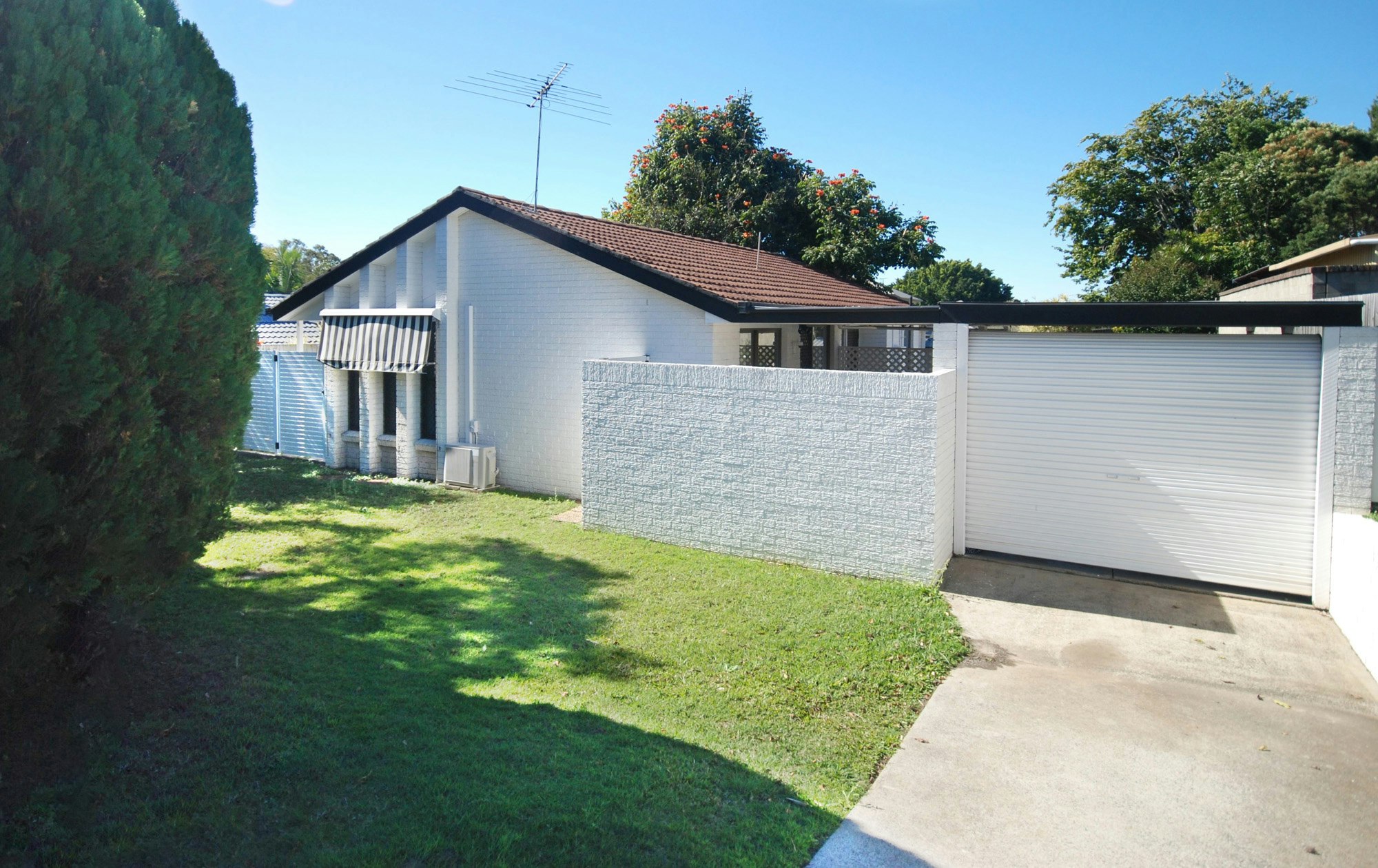 Image of backyard