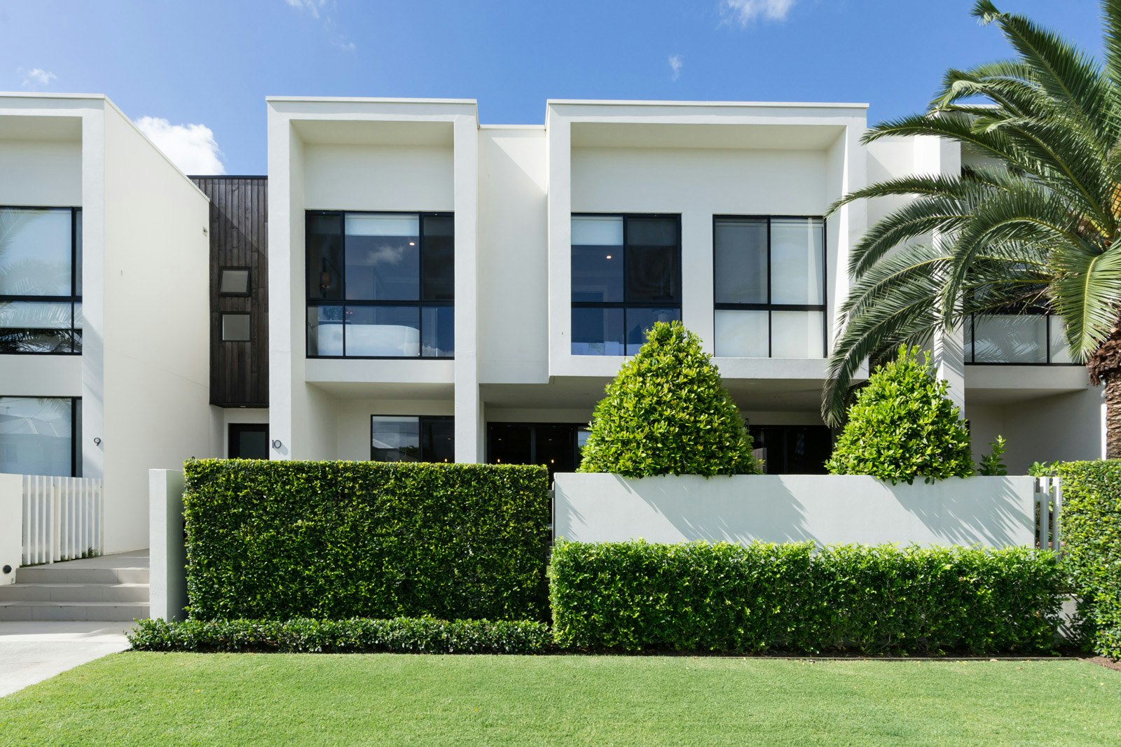 Image of hedge