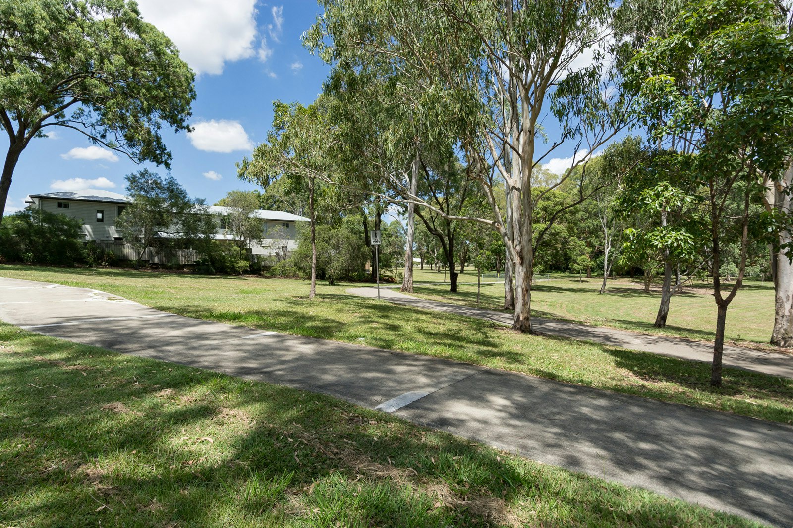 Image of grass