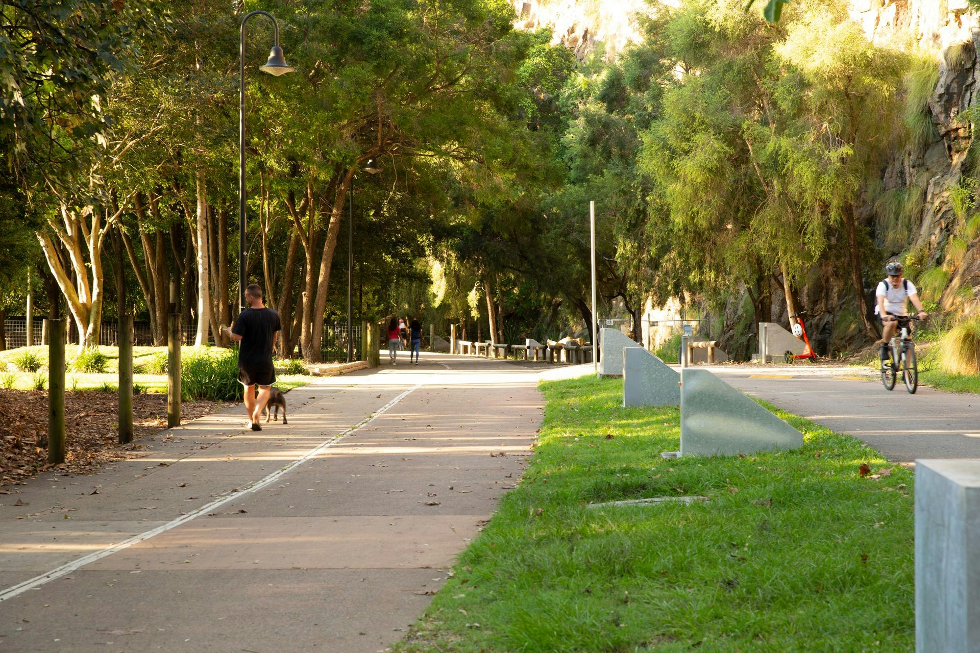 Image of path