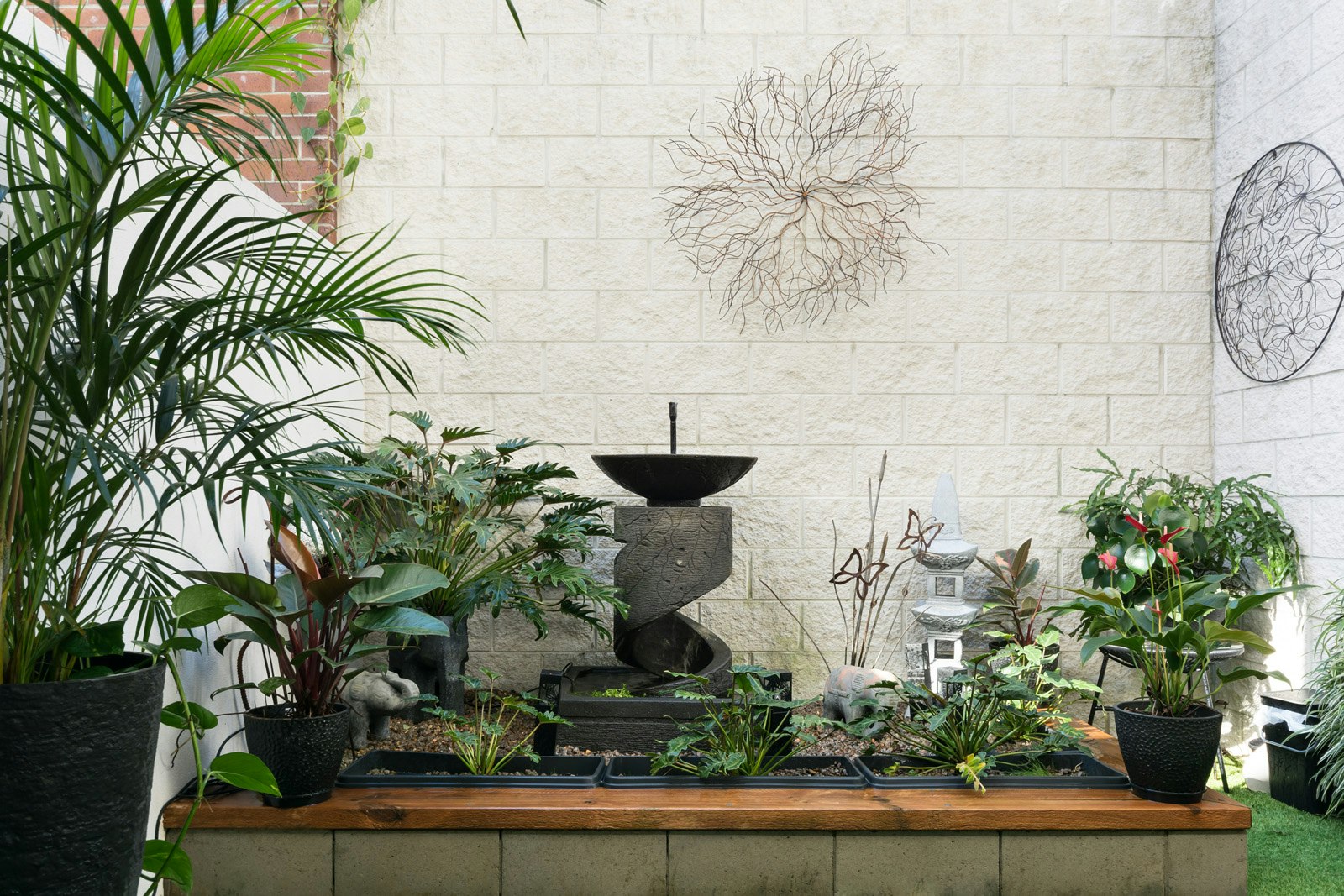 Image of plant