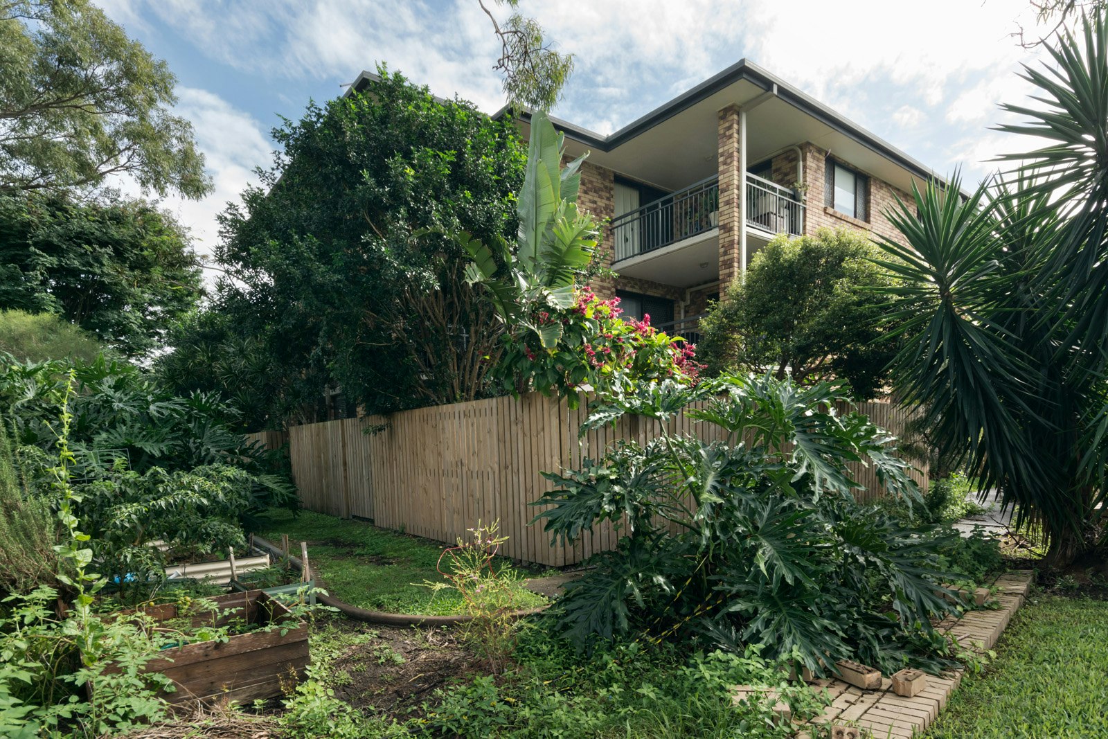 Image of garden