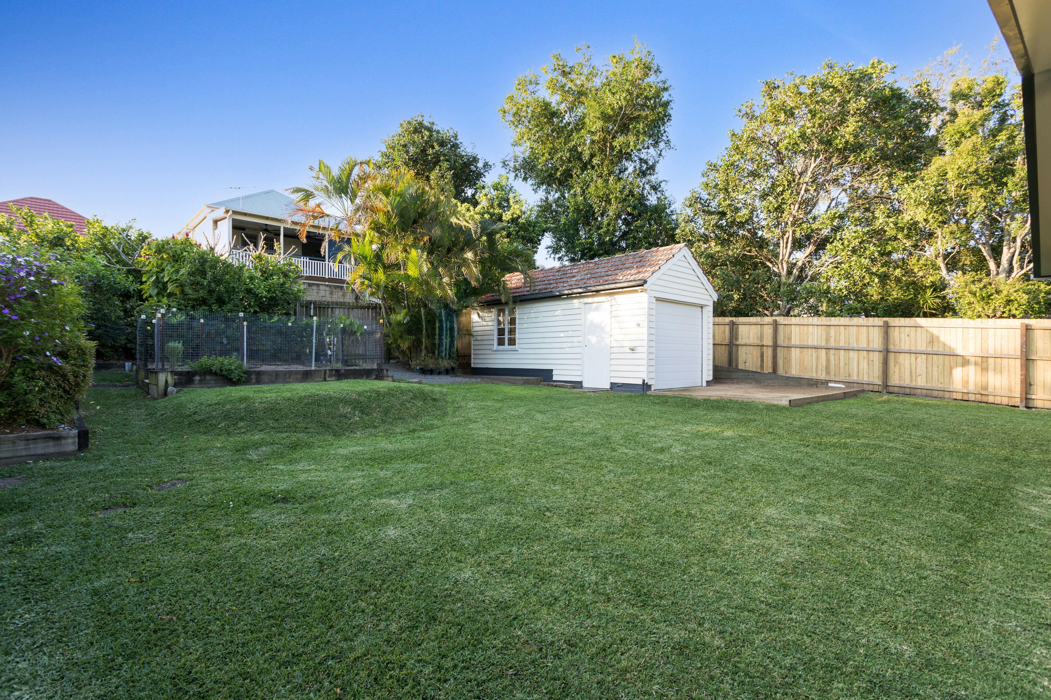 Image of grass