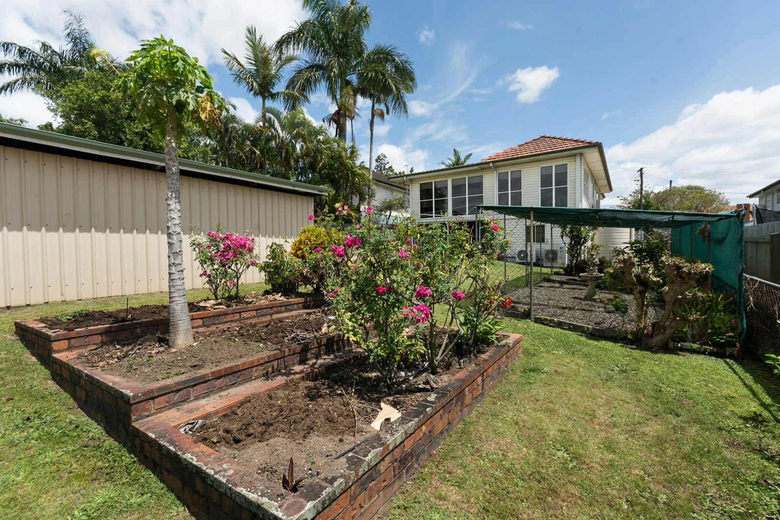 Image of backyard