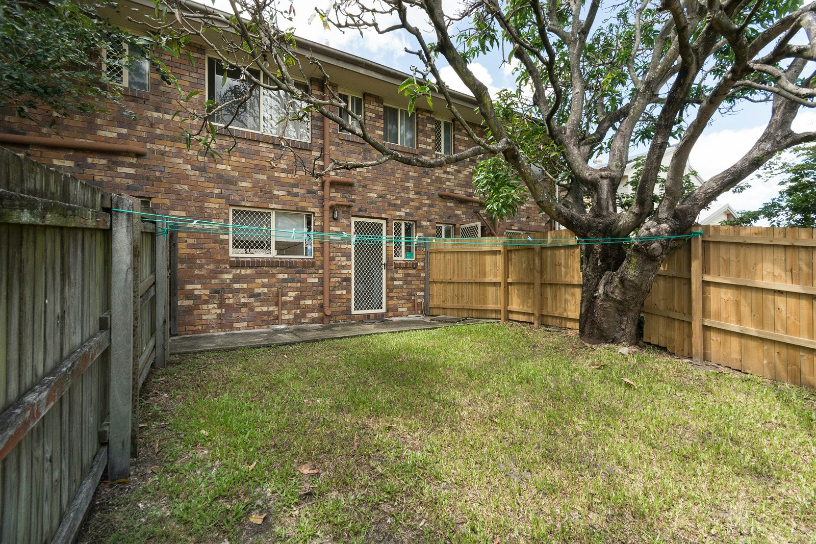Image of backyard