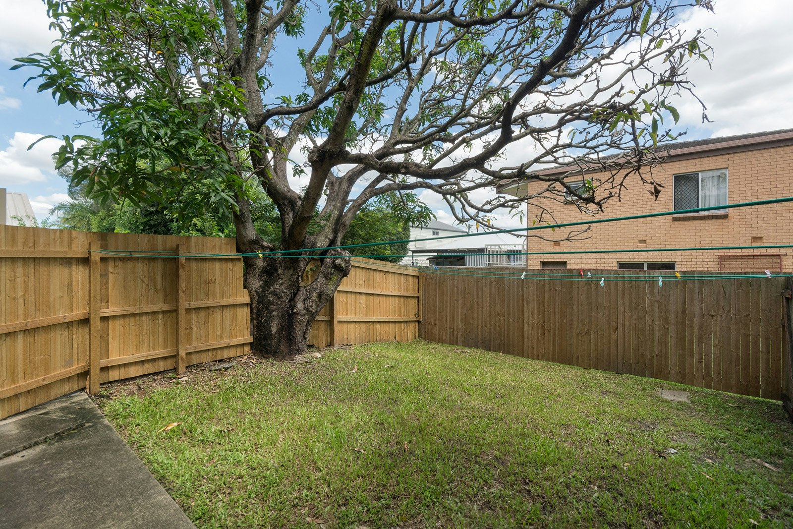 Image of backyard