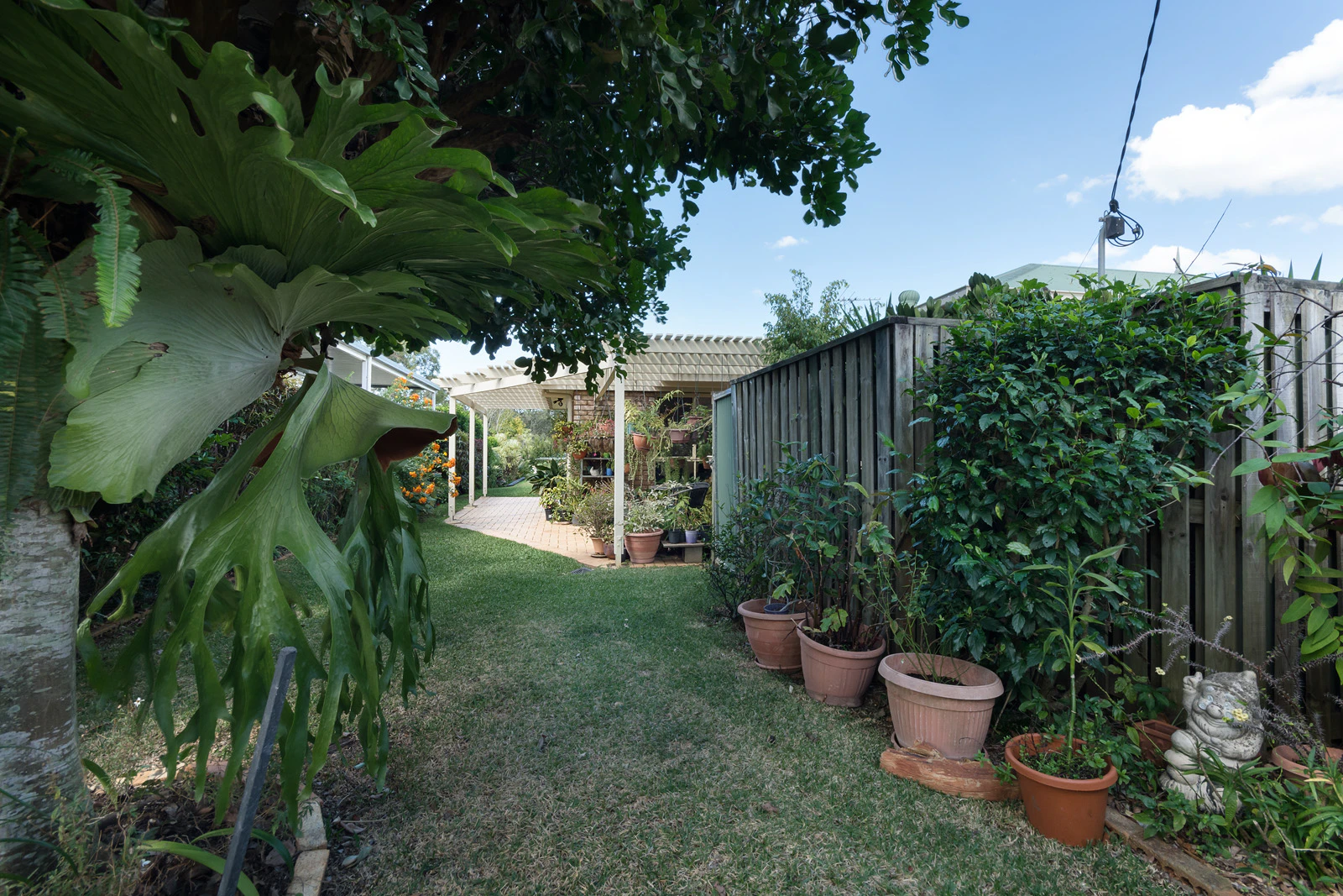 garden