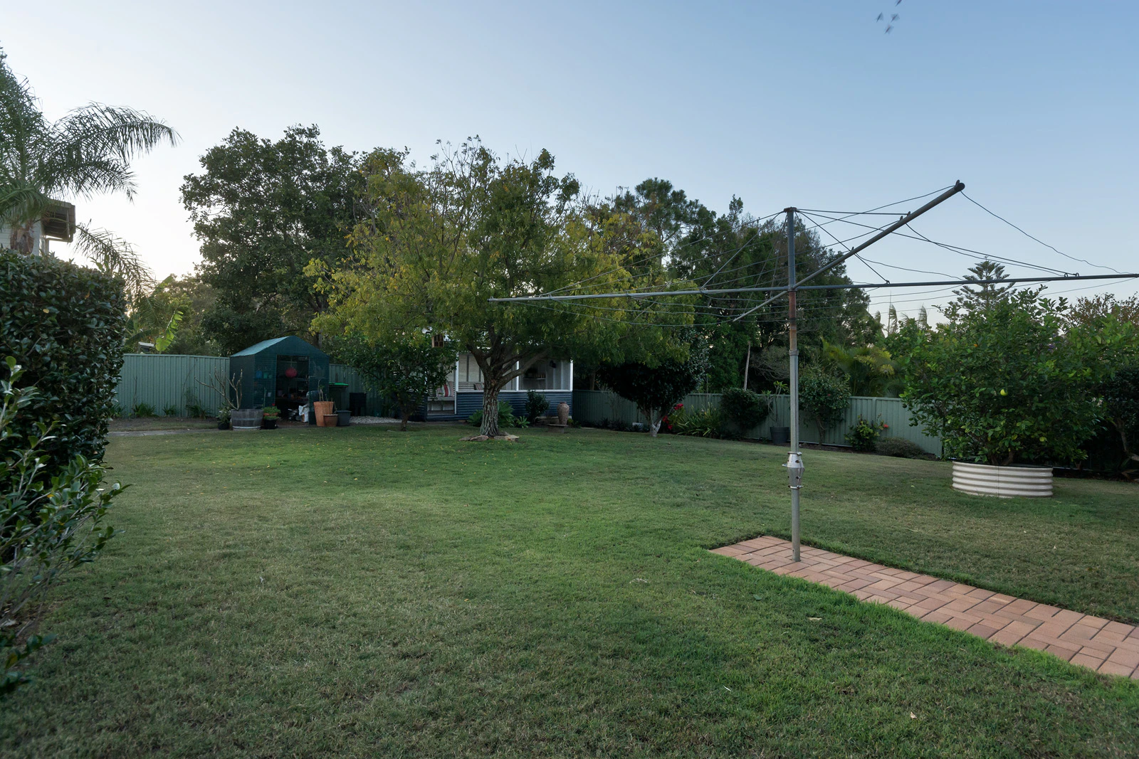 backyard