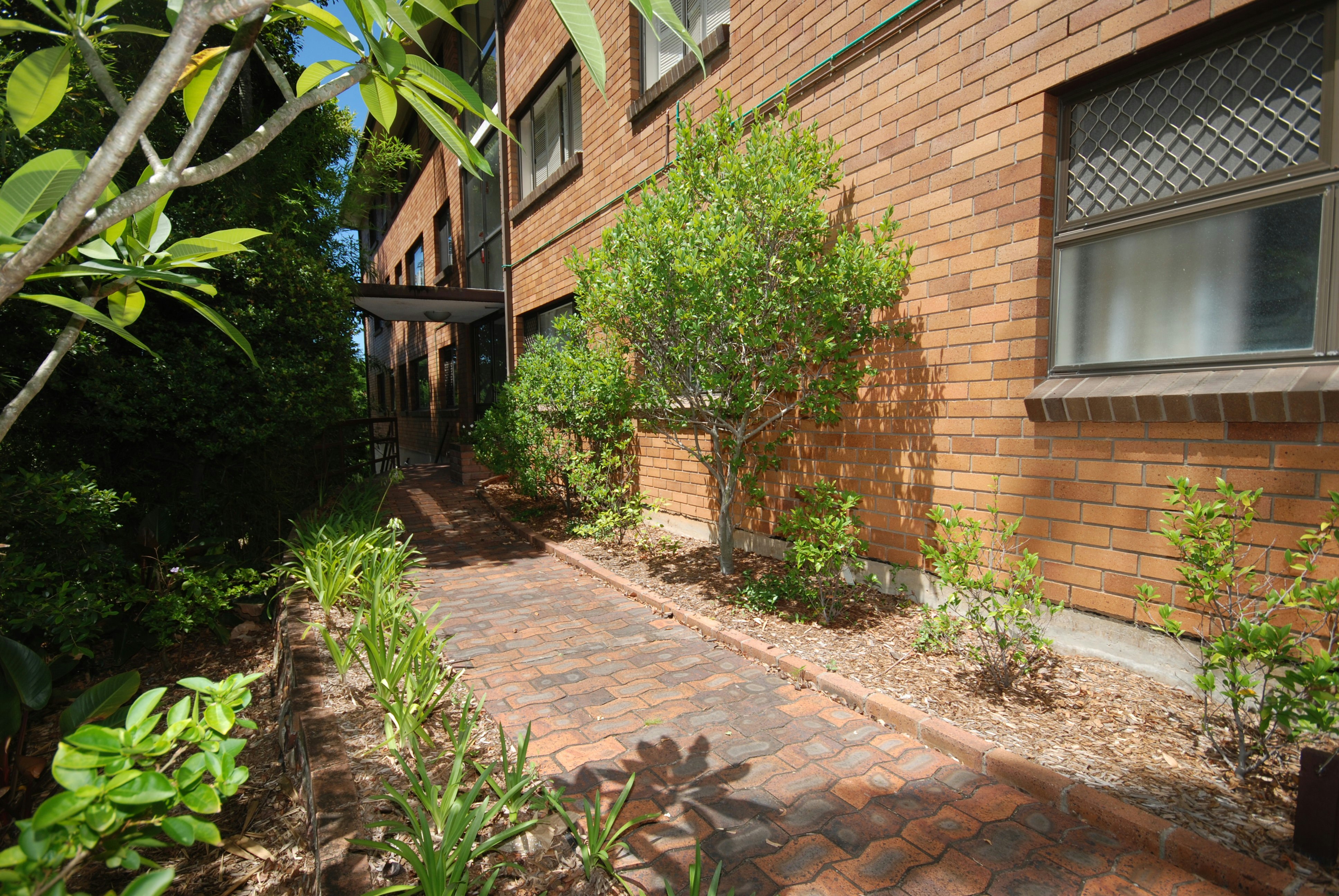Image of path