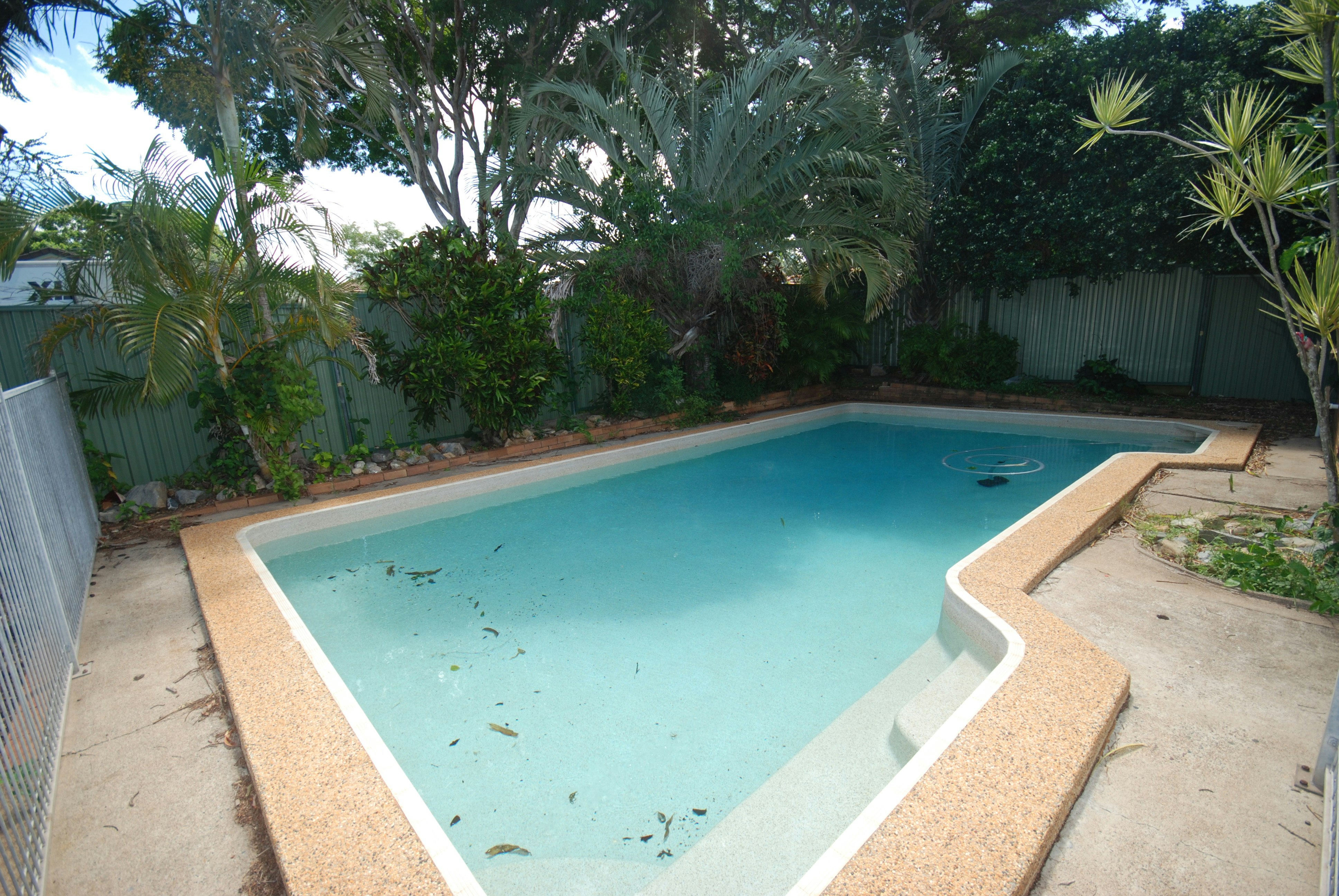 Image of backyard
