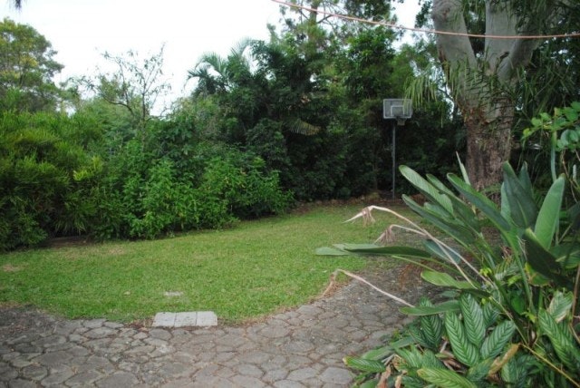 Image of backyard