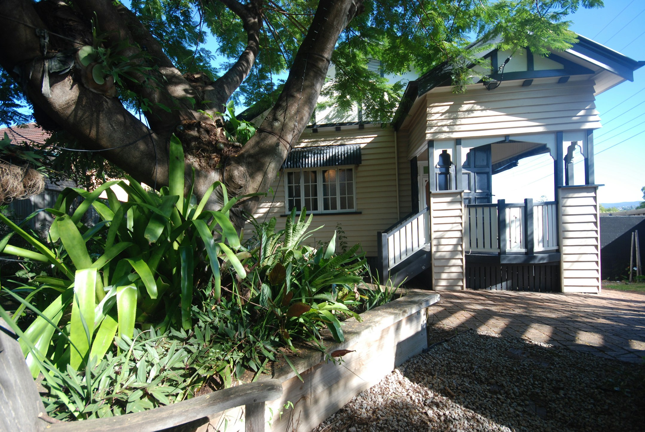 garden