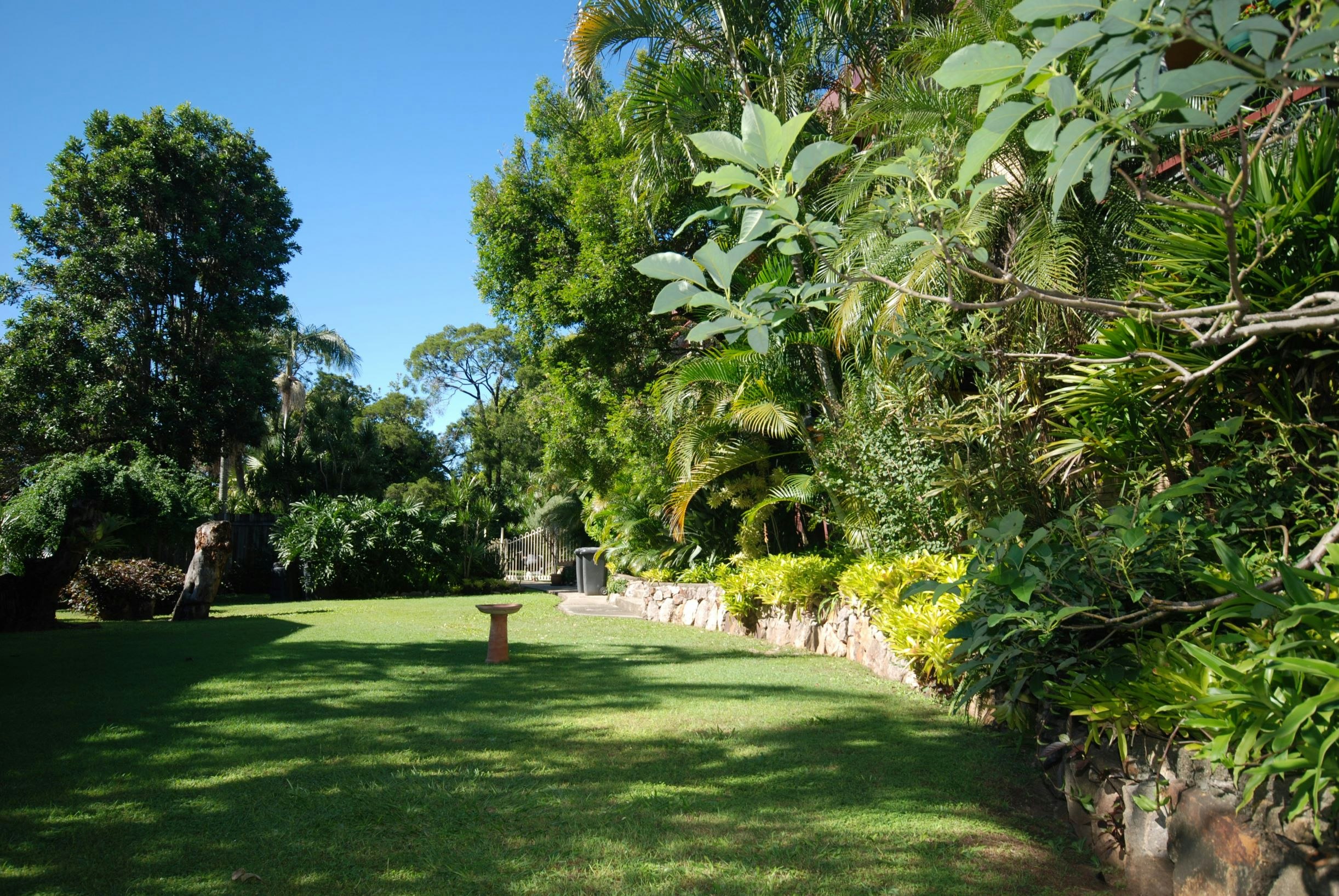 Image of grass