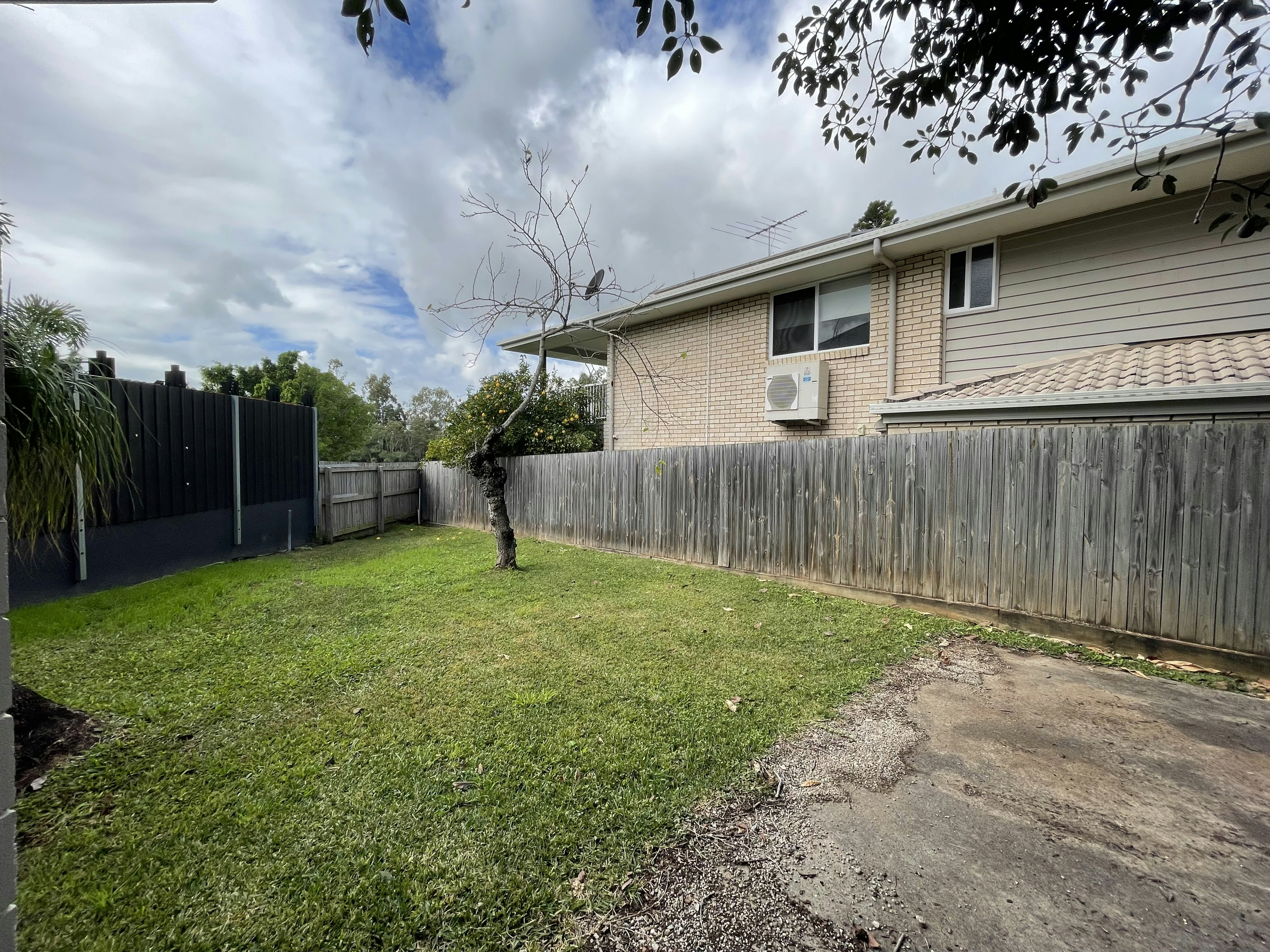 Image of backyard