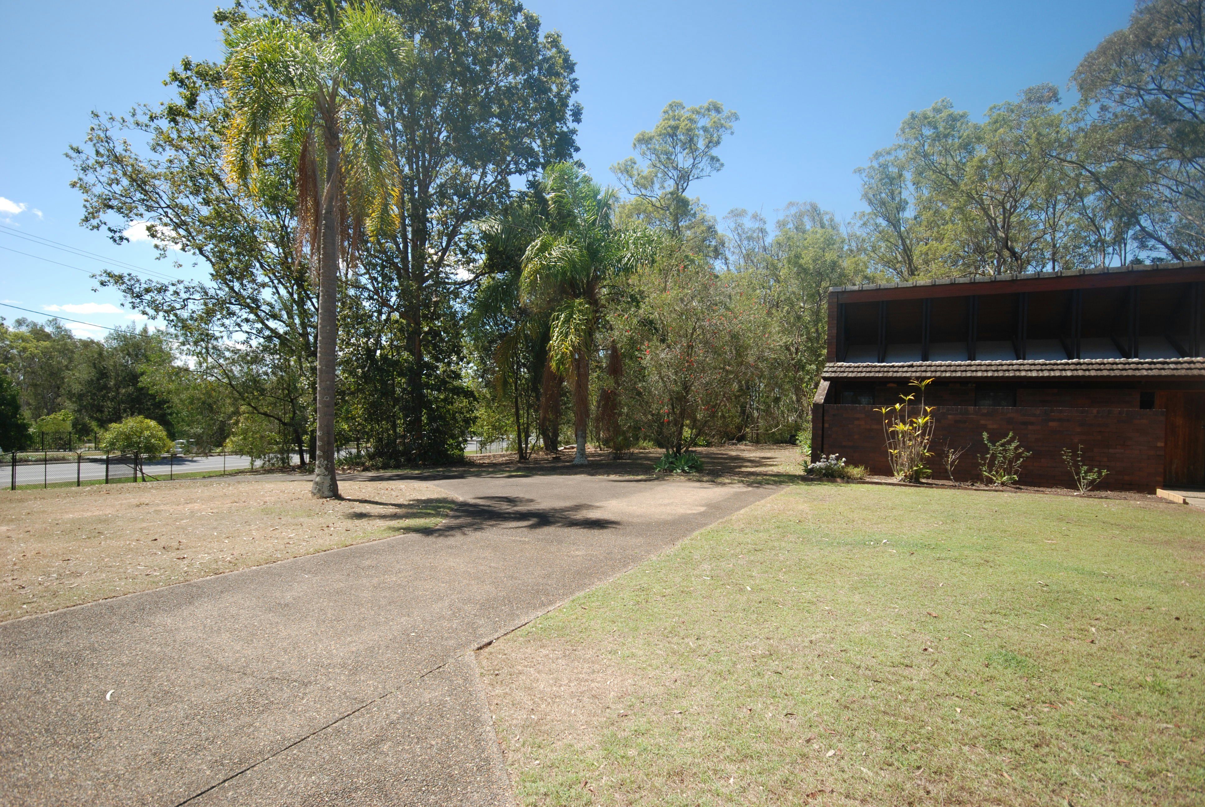Image of tree