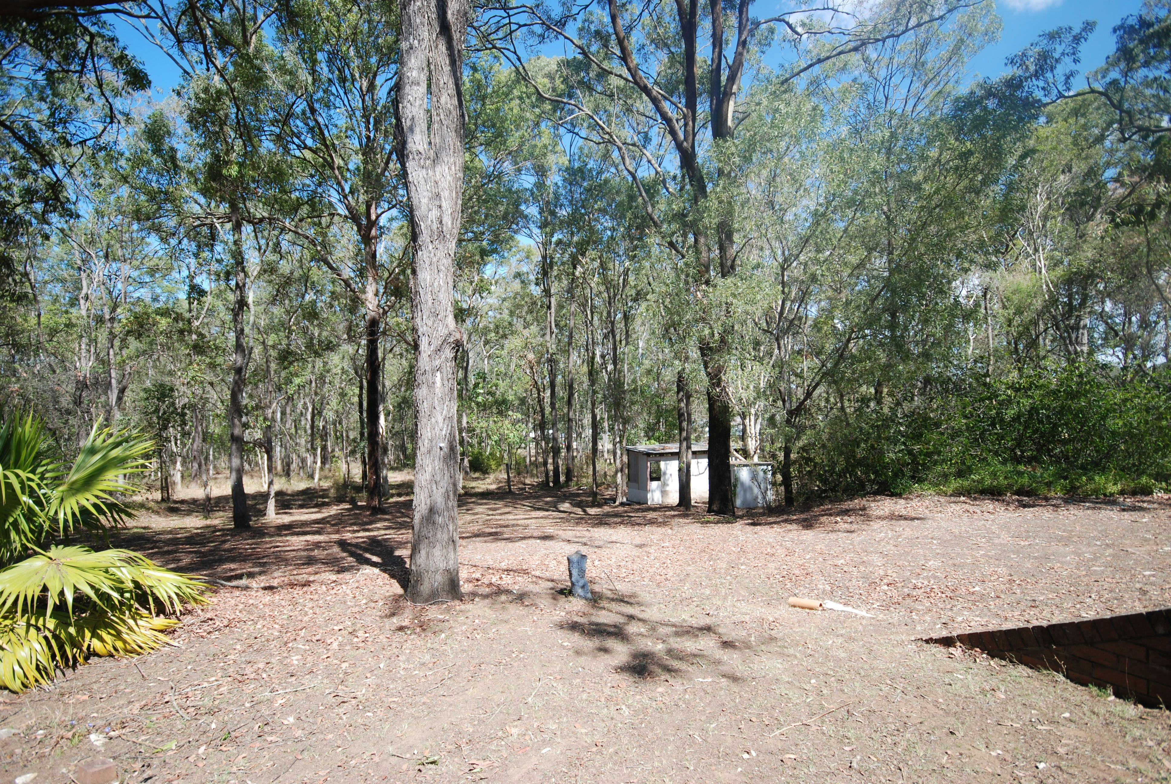 Image of vegetation