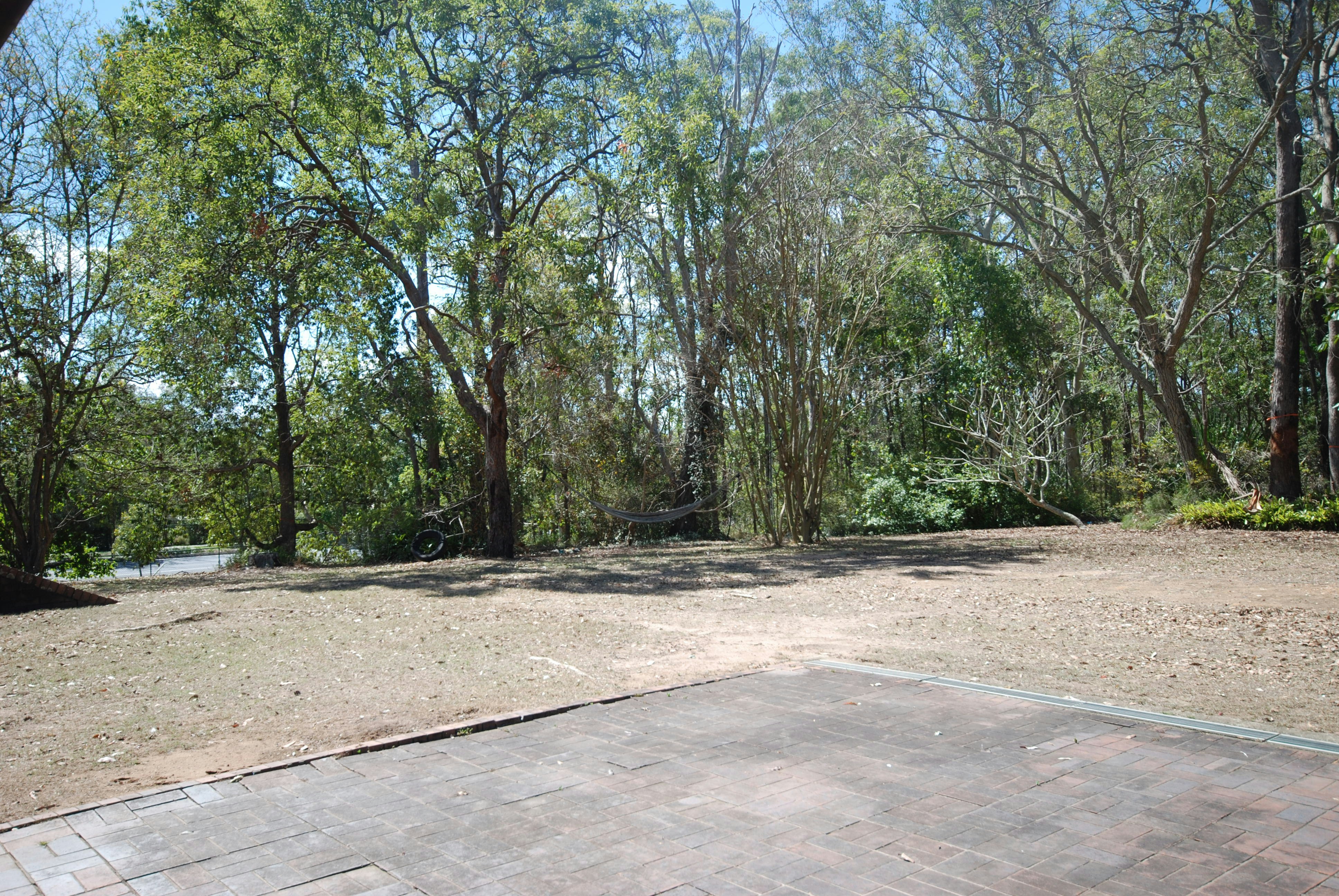 Image of path