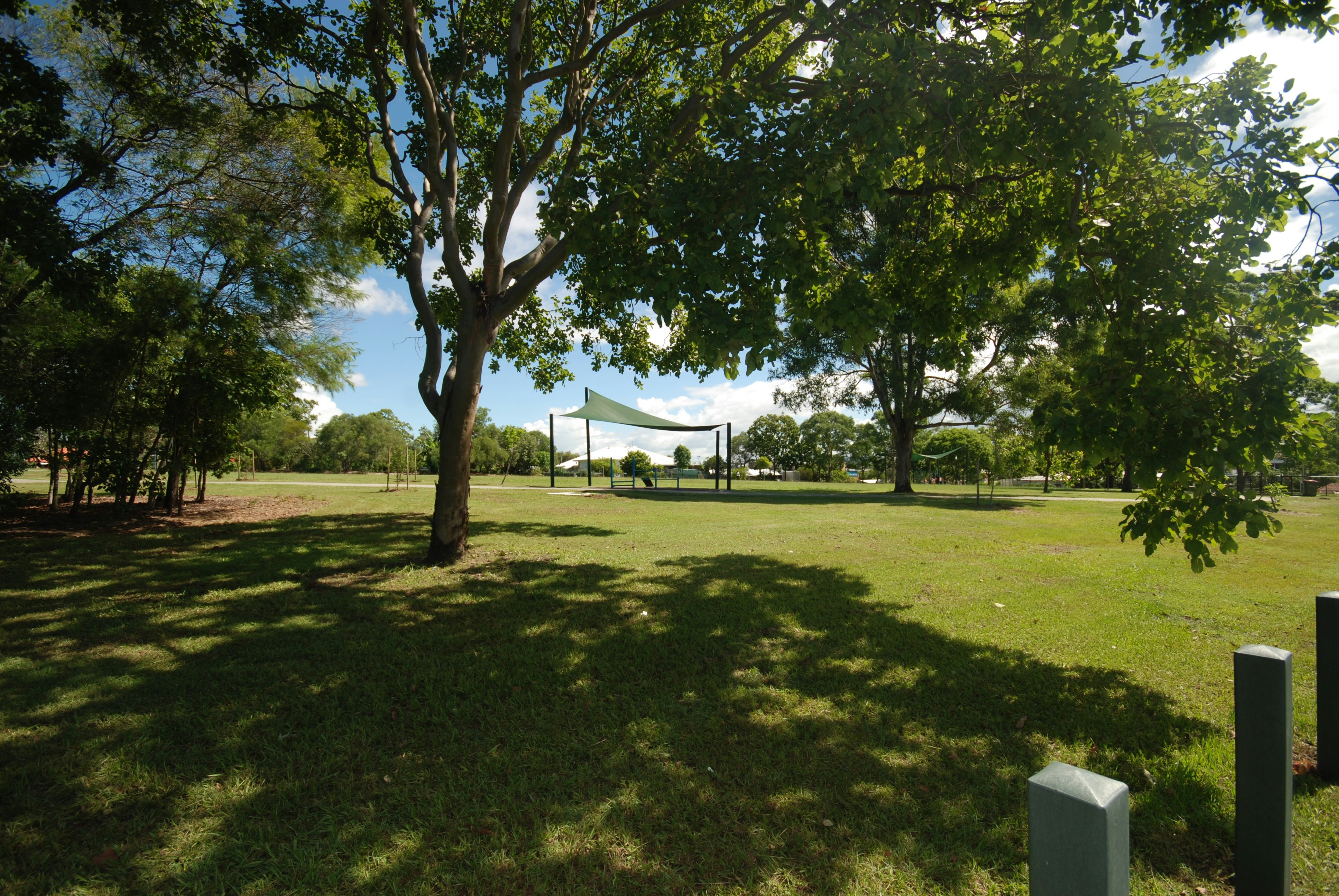 Image of grass