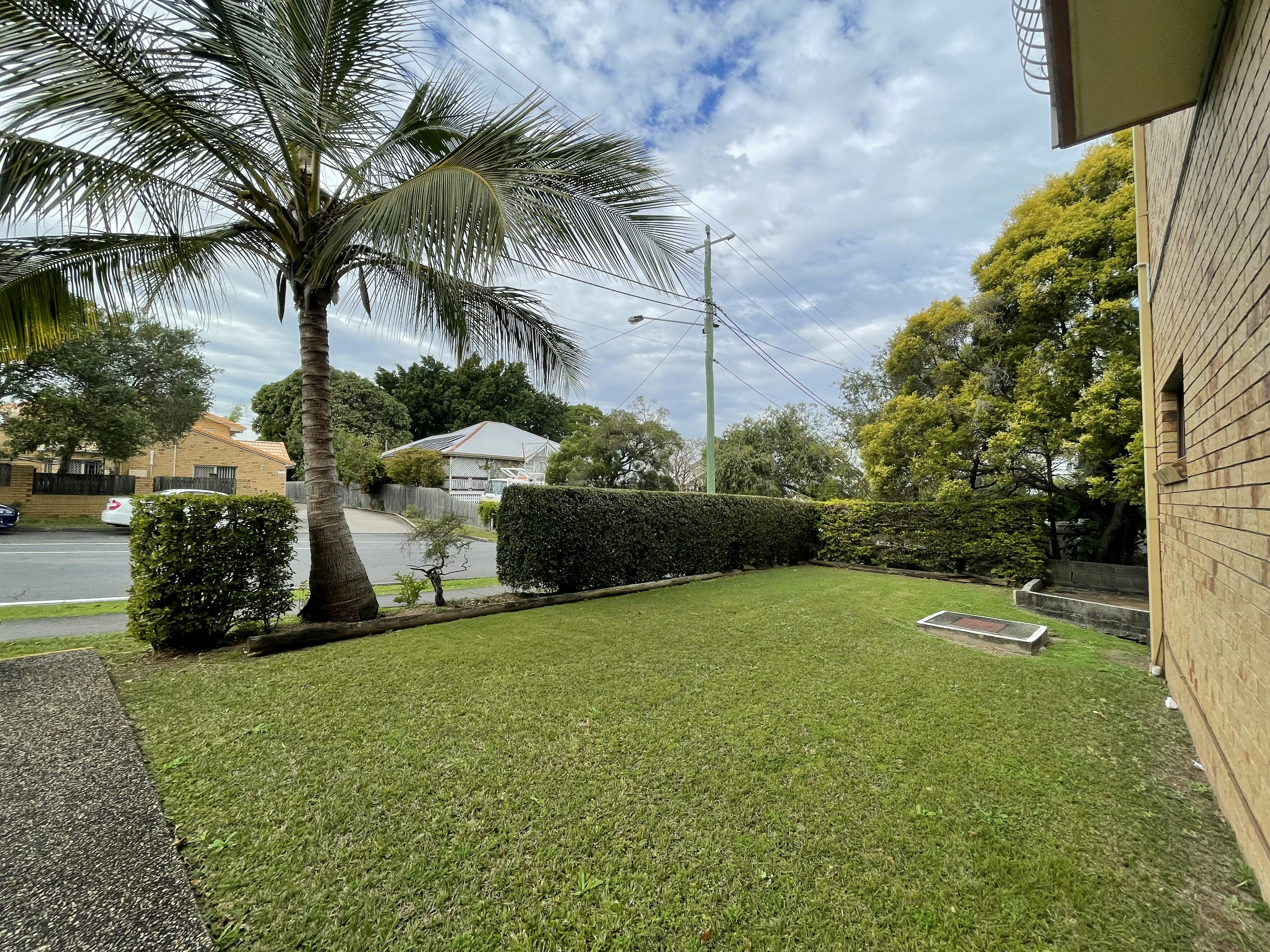 Image of grass