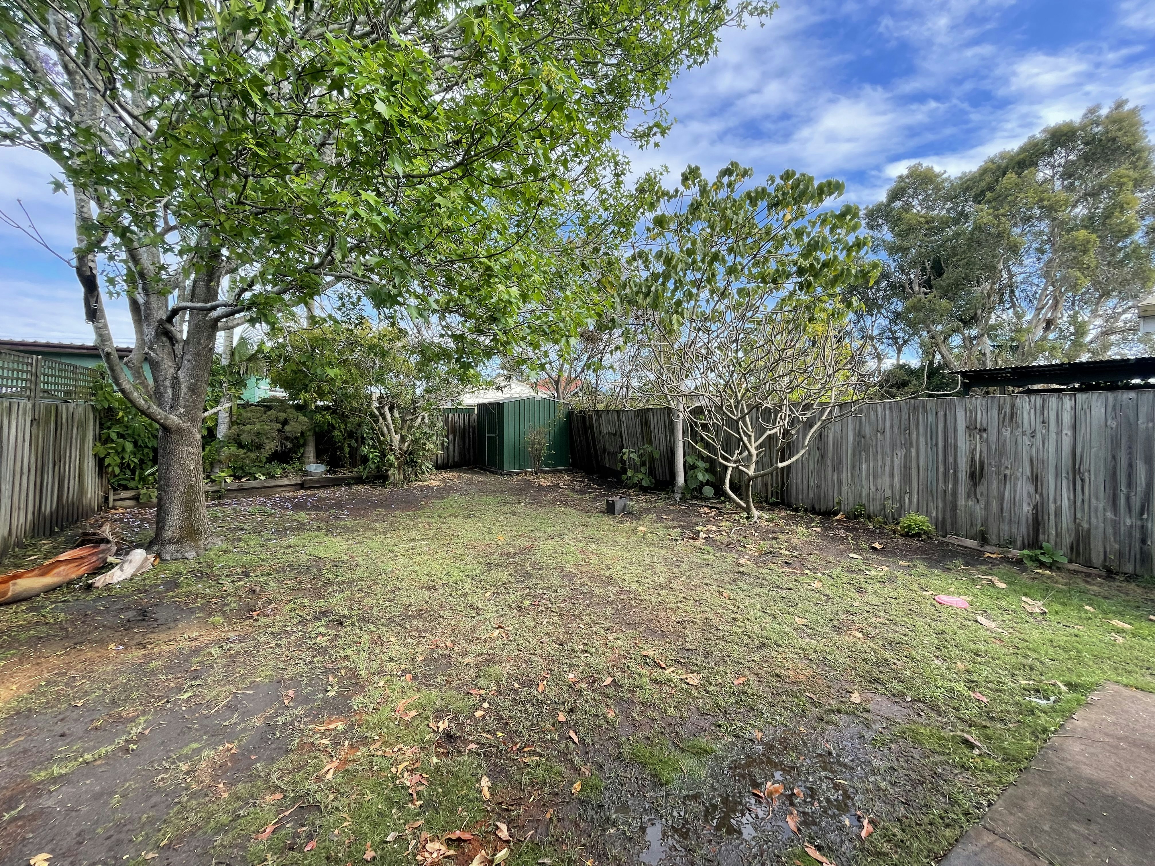 Image of backyard