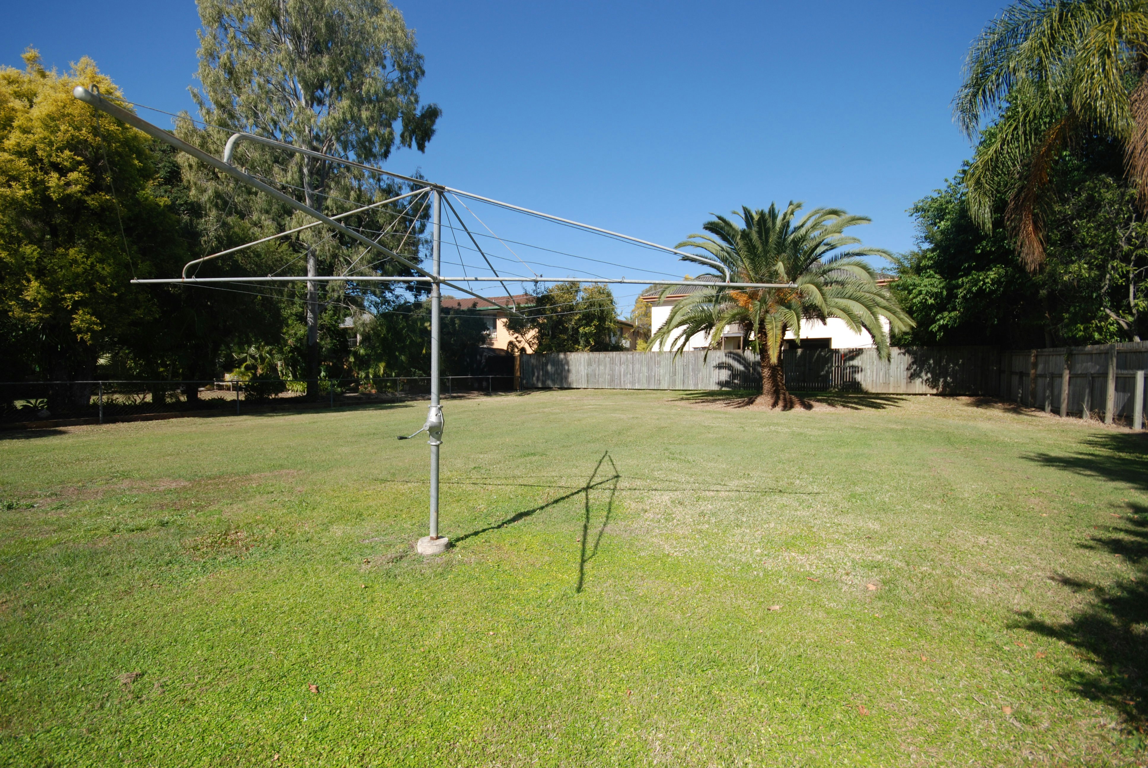 Image of grass