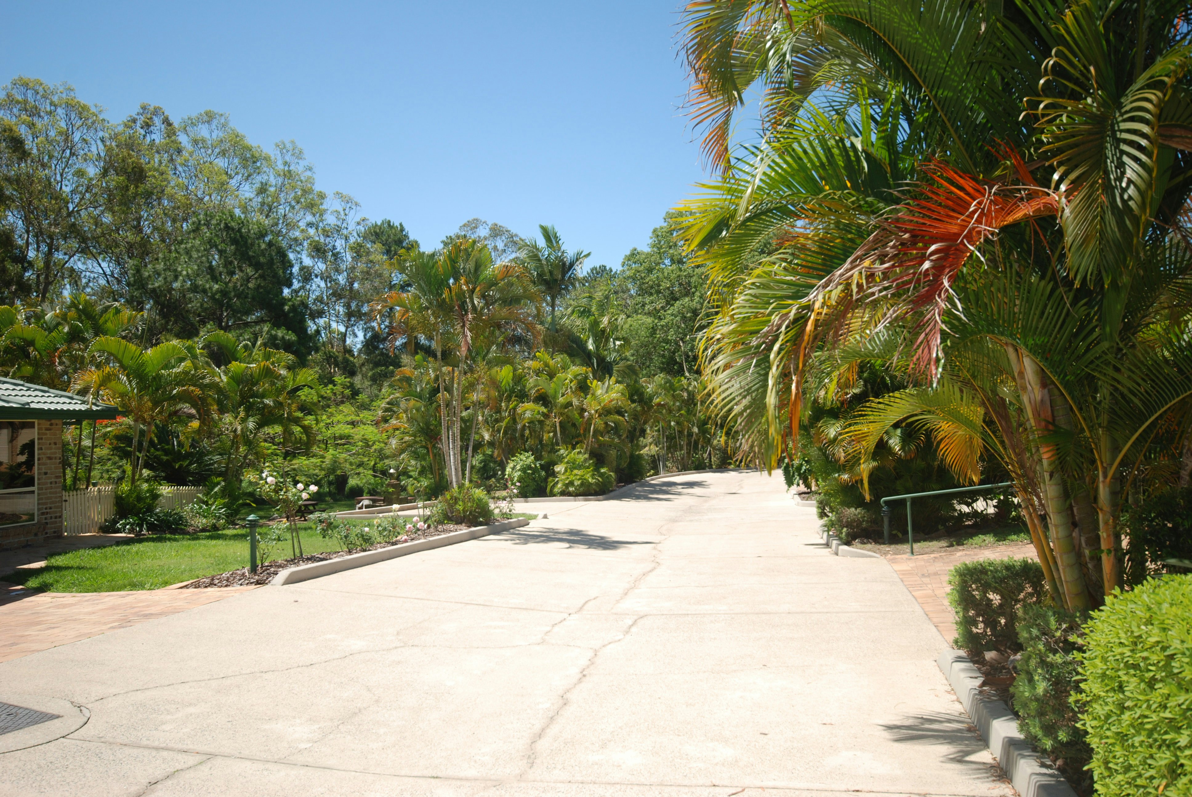 Image of path