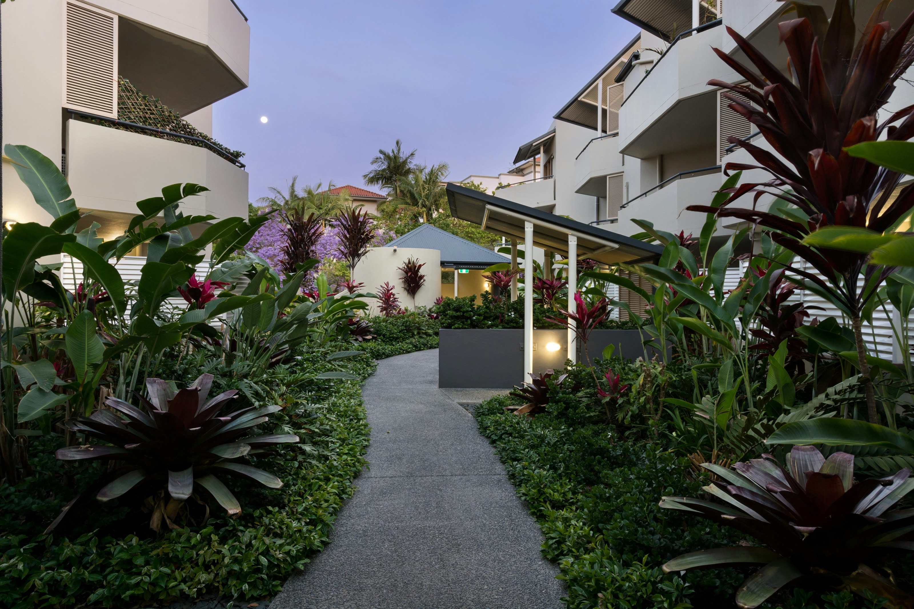 Image of garden