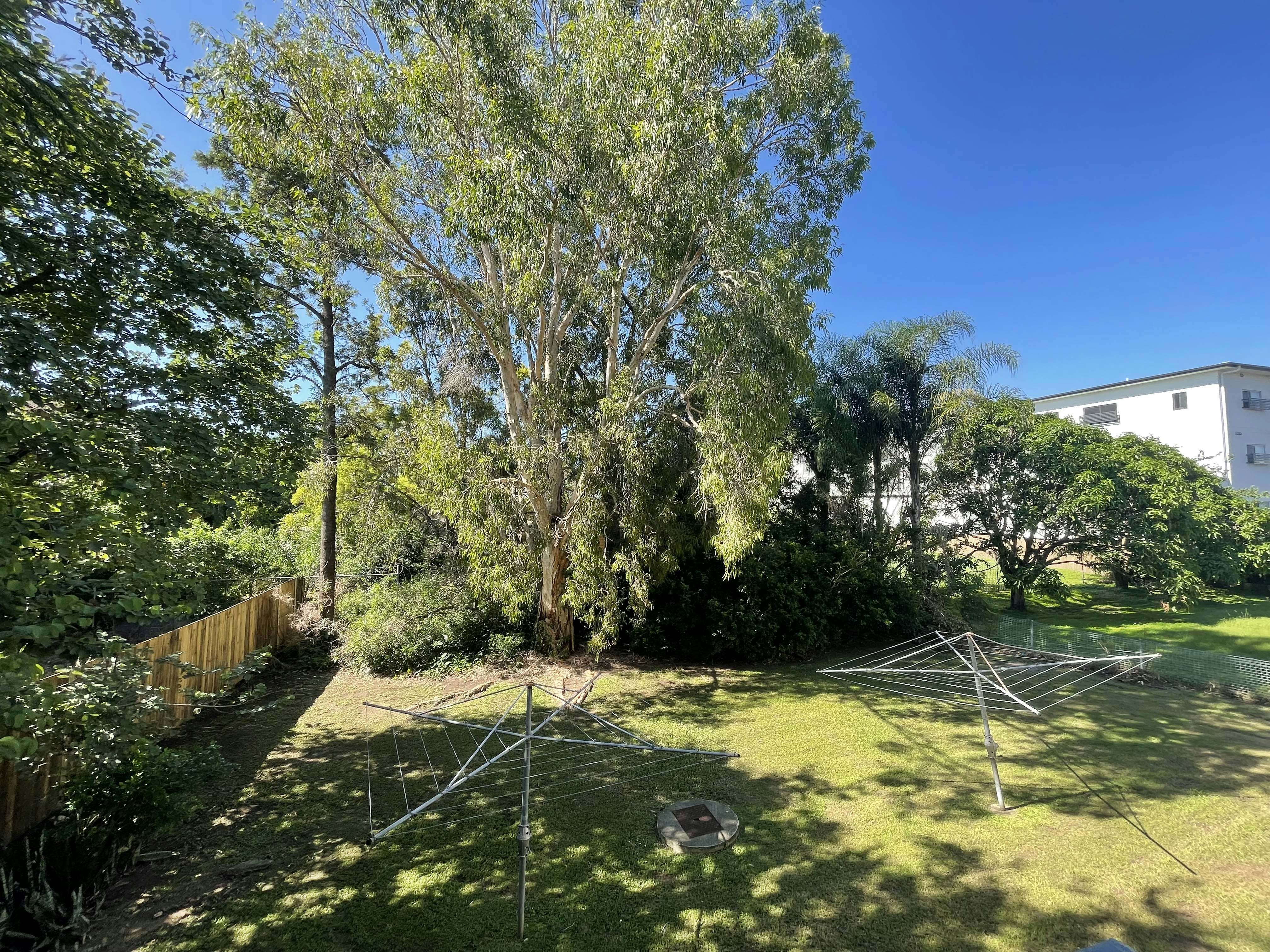 Image of backyard