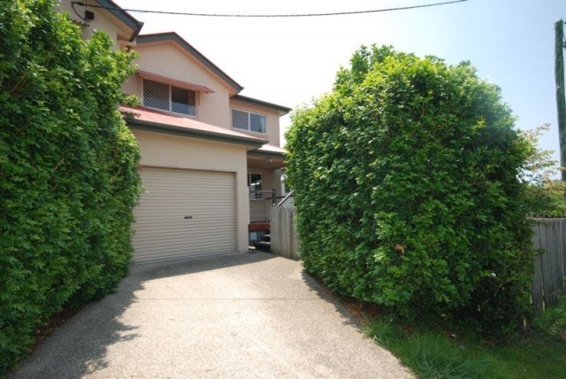 Image of hedge